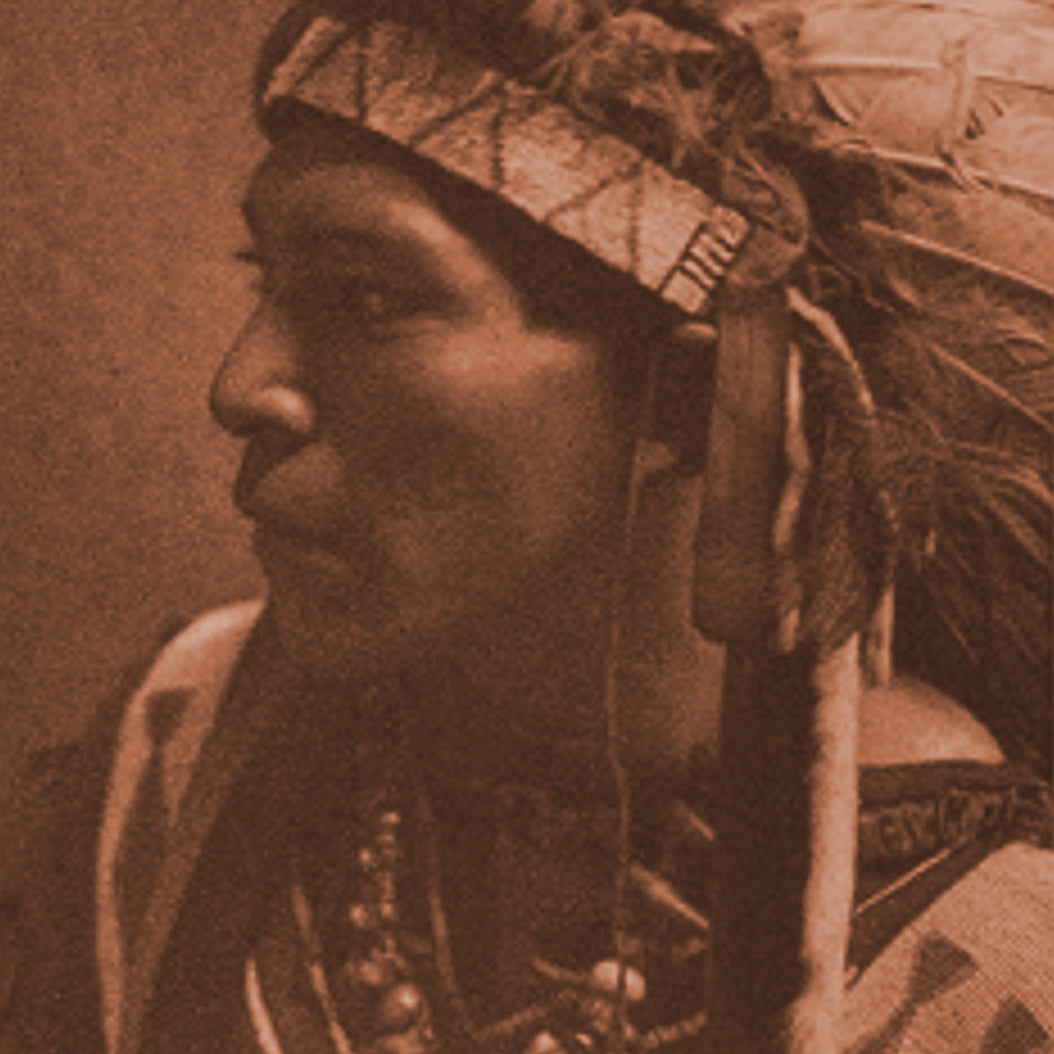 Cayuse