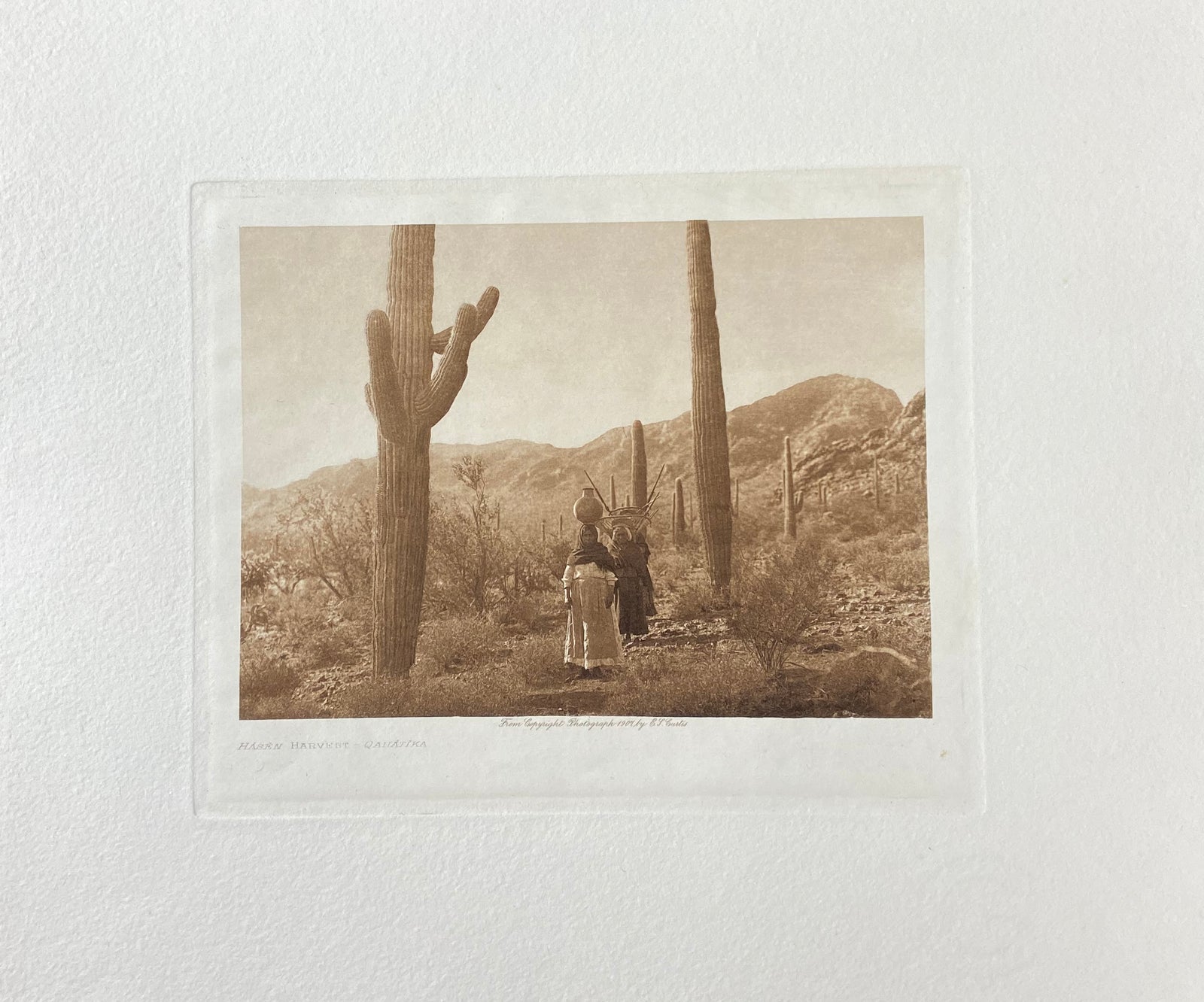 Photogravures