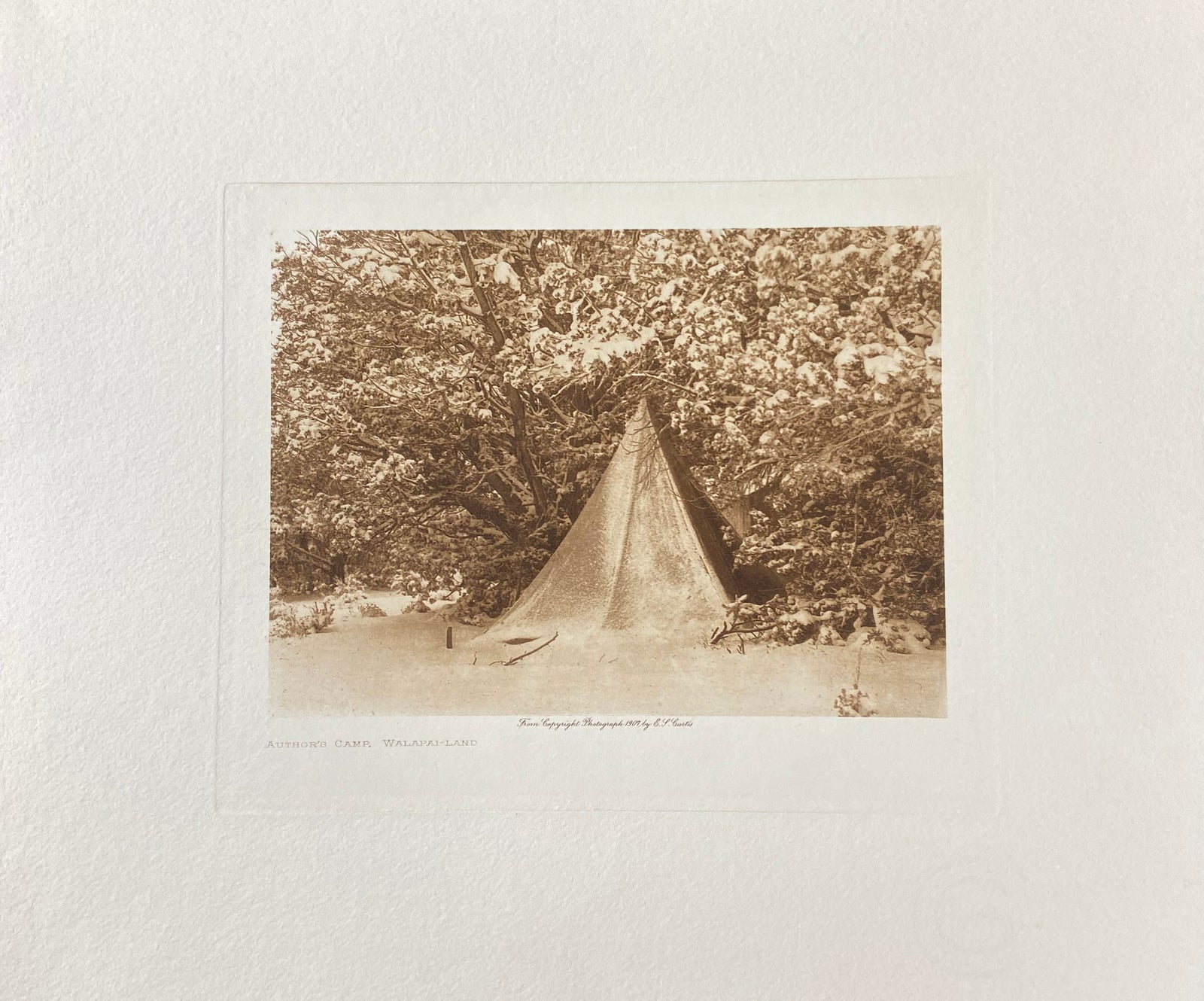 Photogravures