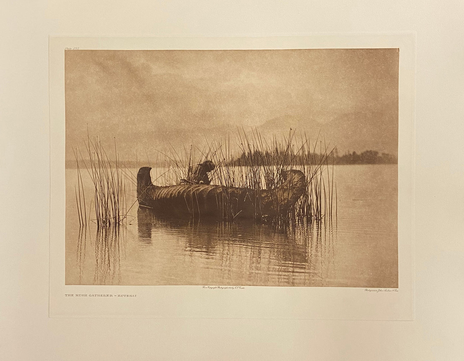 Photogravures