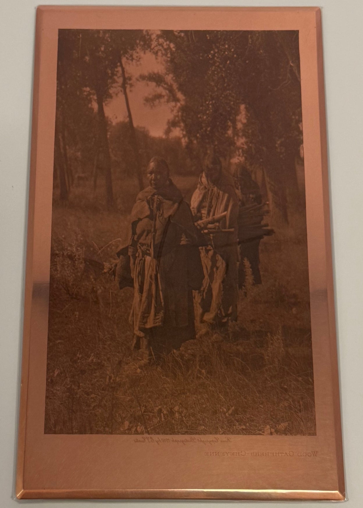 Wood Gatherers - Cheyenne