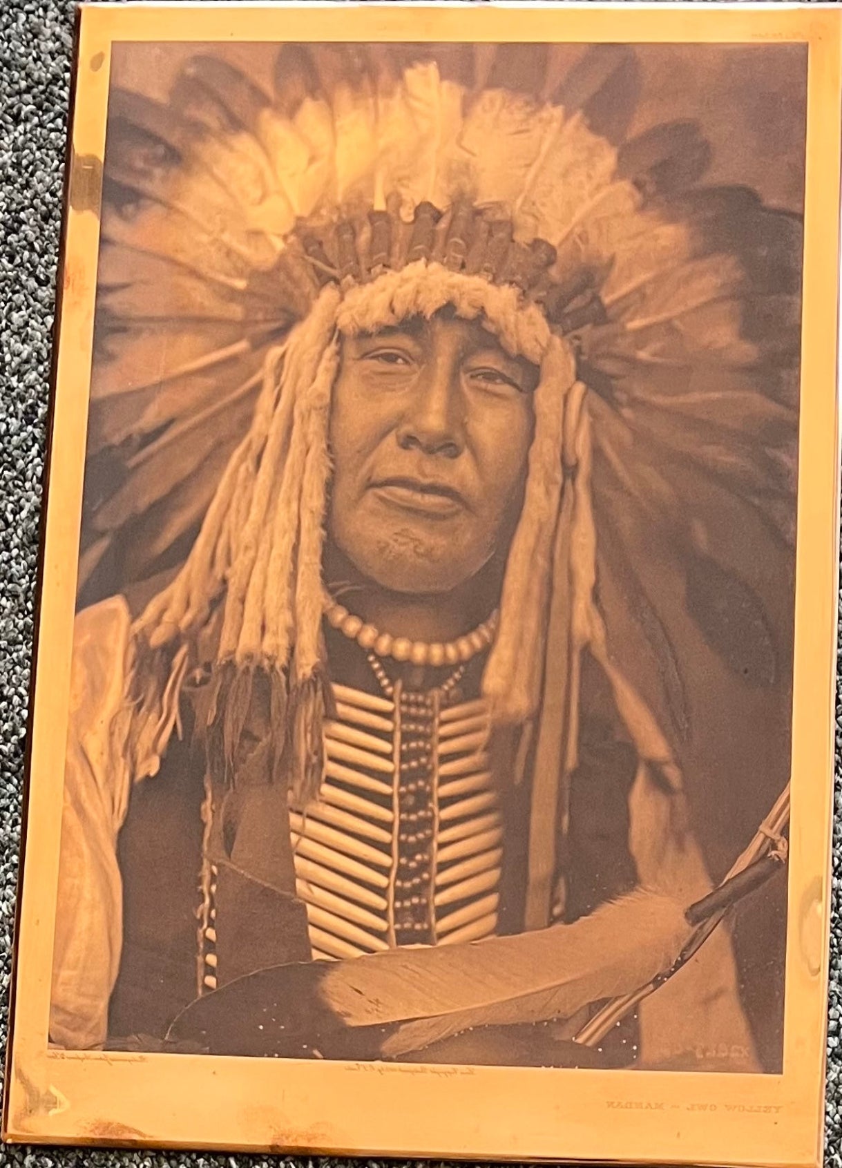 Yellow Owl - Mandan