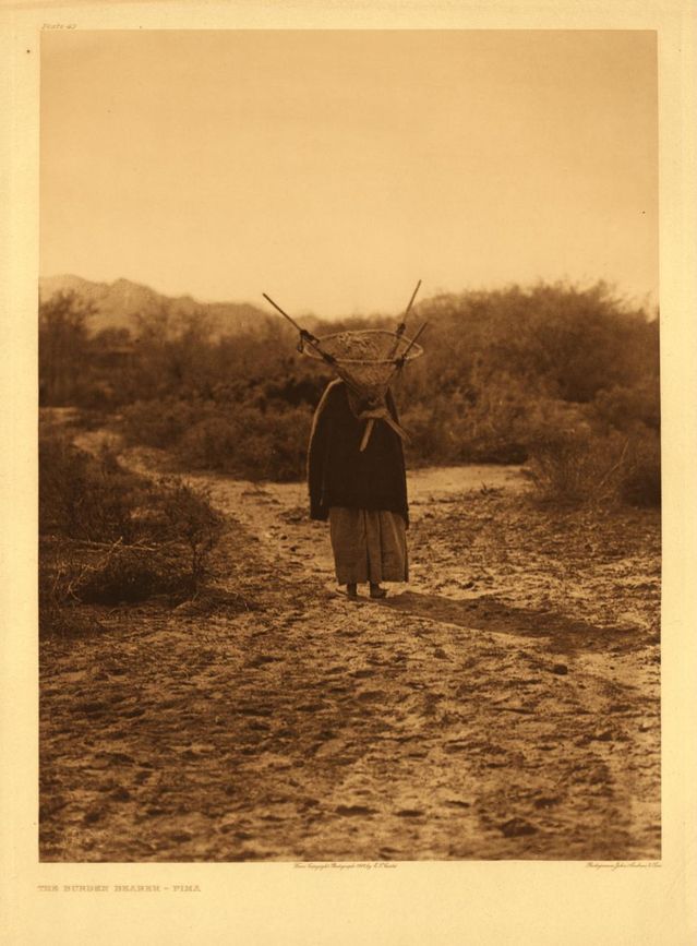 The Burden Bearer - Pima