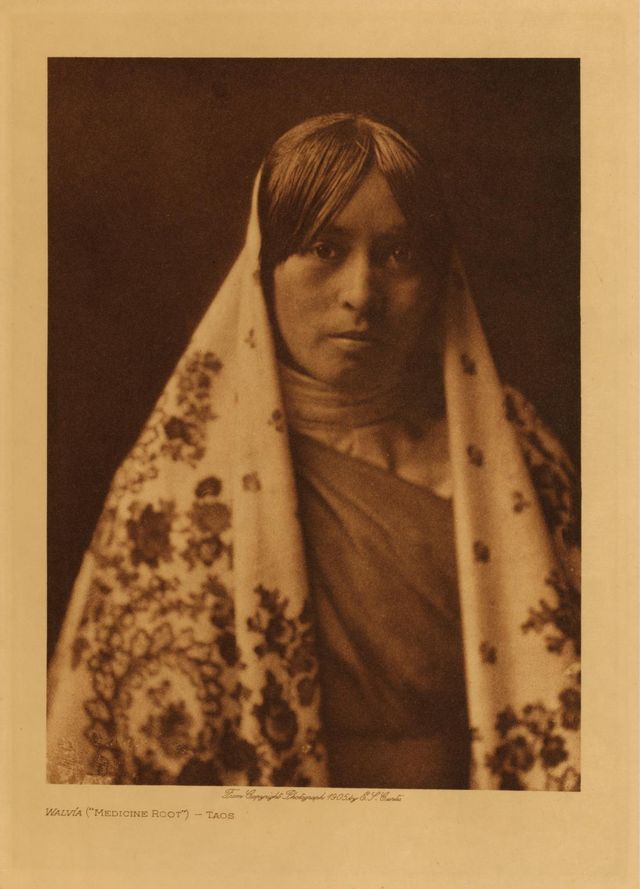 Walvia ("Medicine Root") - Taos