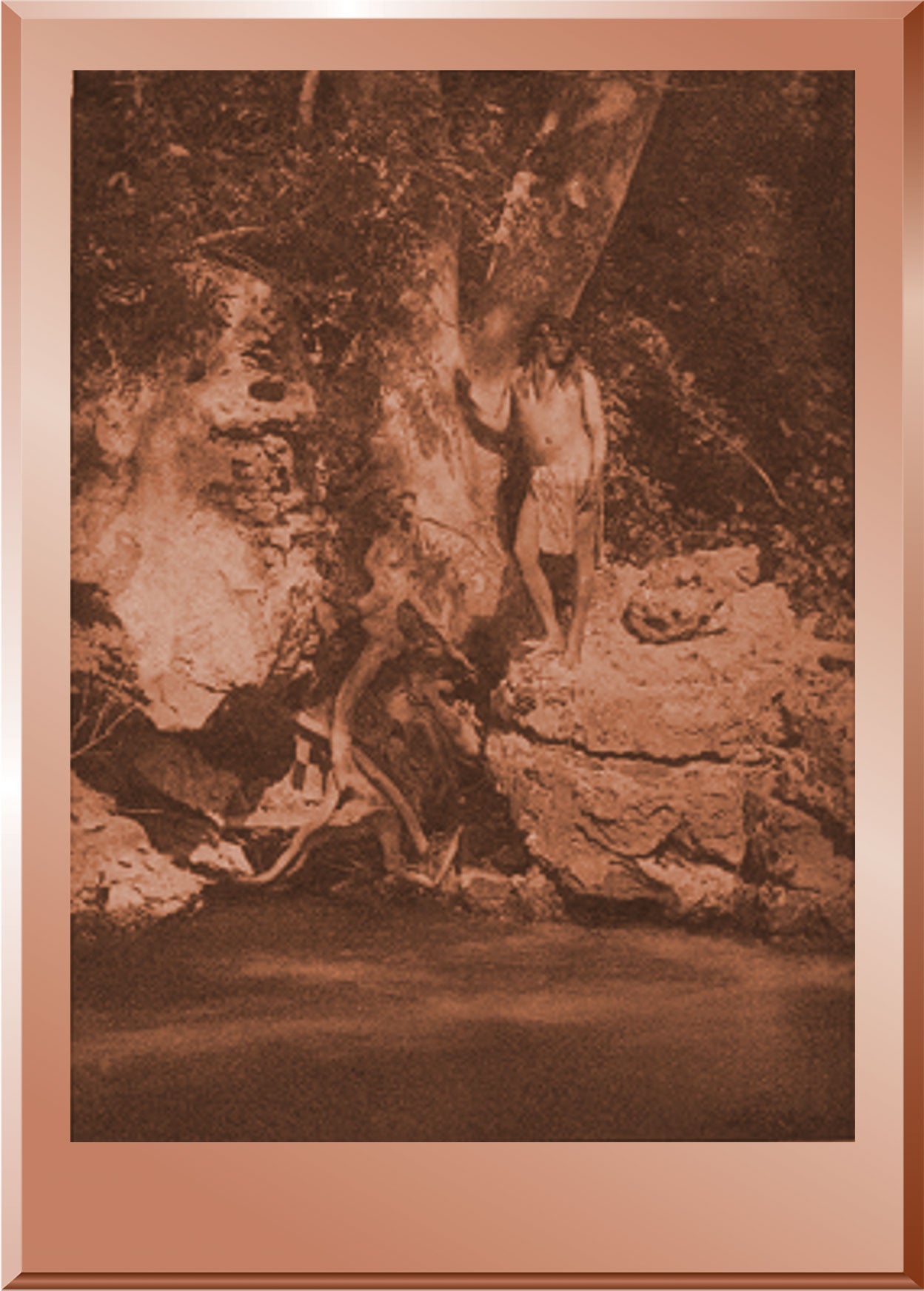 By the Sycamore - Apache