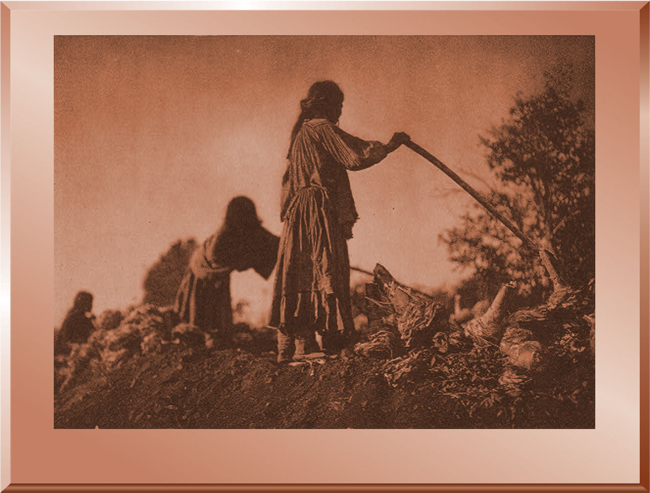 Filling the Pit - Apache