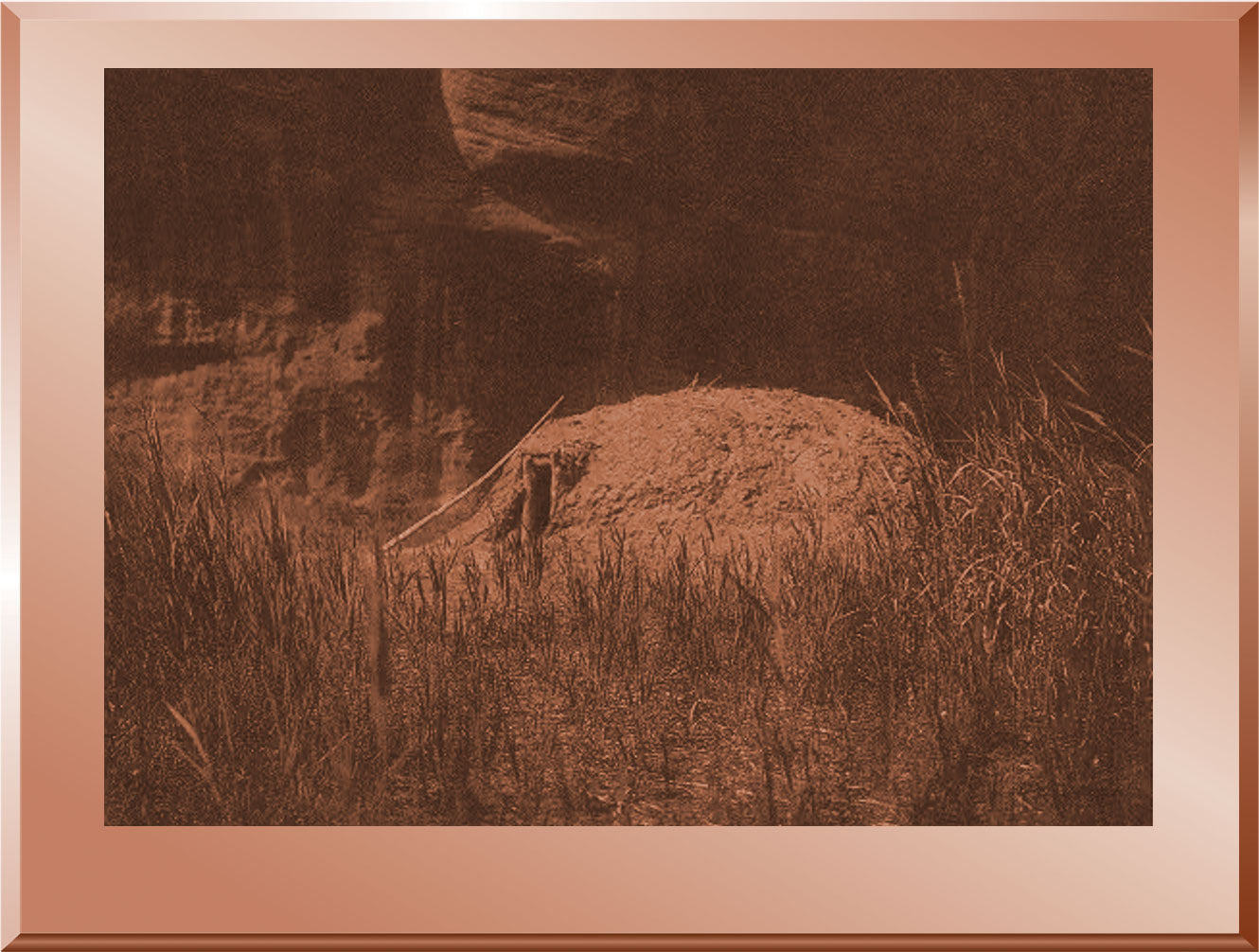 Cañon Hogan - Navaho