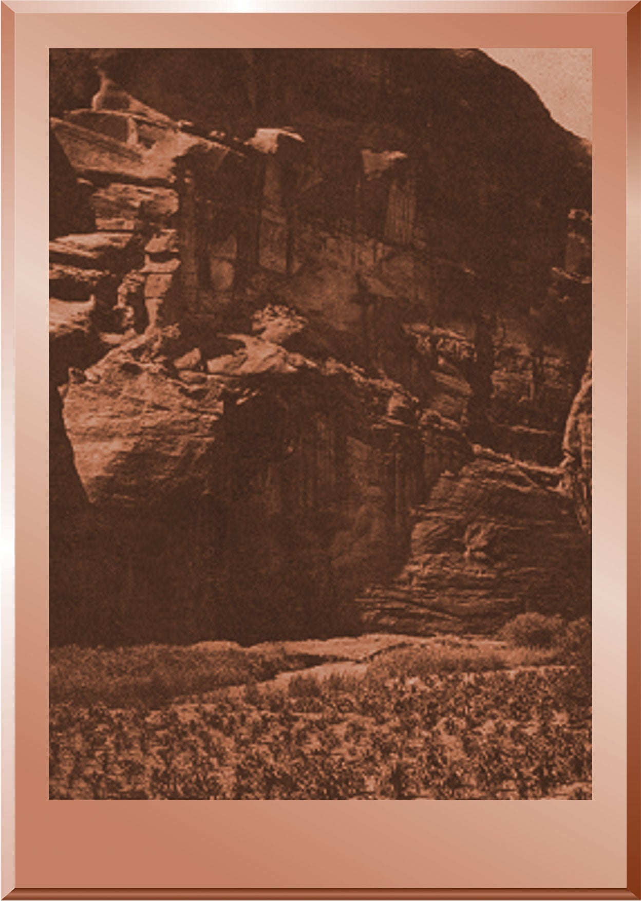 Cornfields in Cañon del Muerto - Navaho