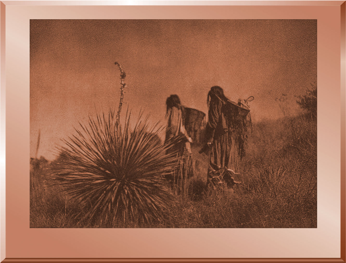 Mescal Harvest - Apache
