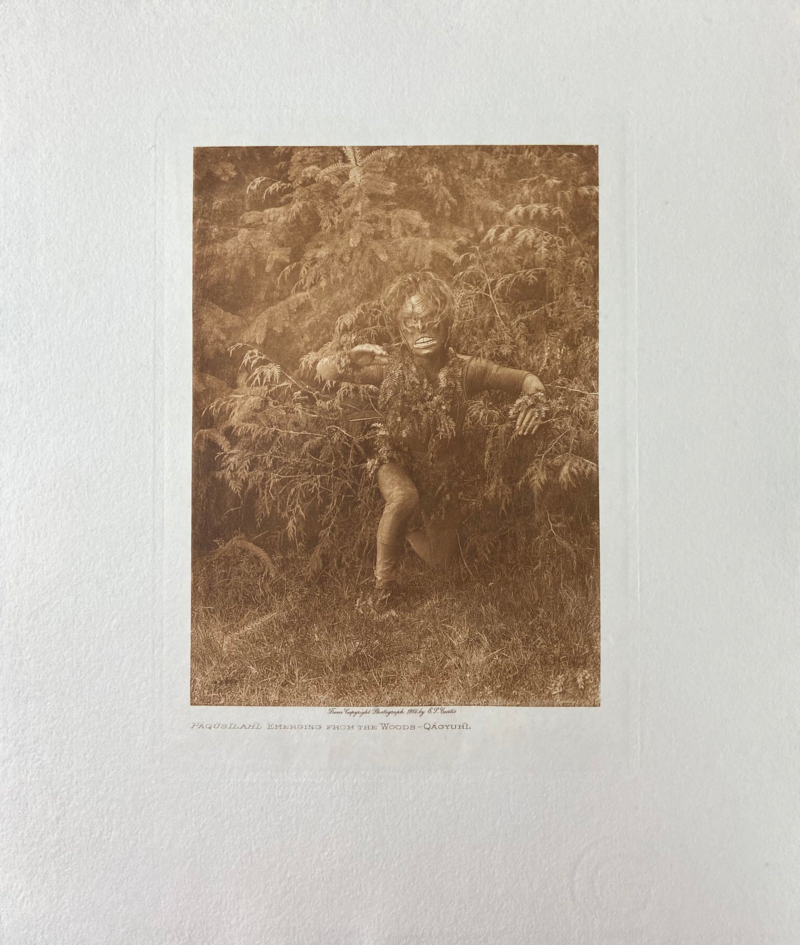 Paqusilahl - Emerging from the Woods - Qagyuhl