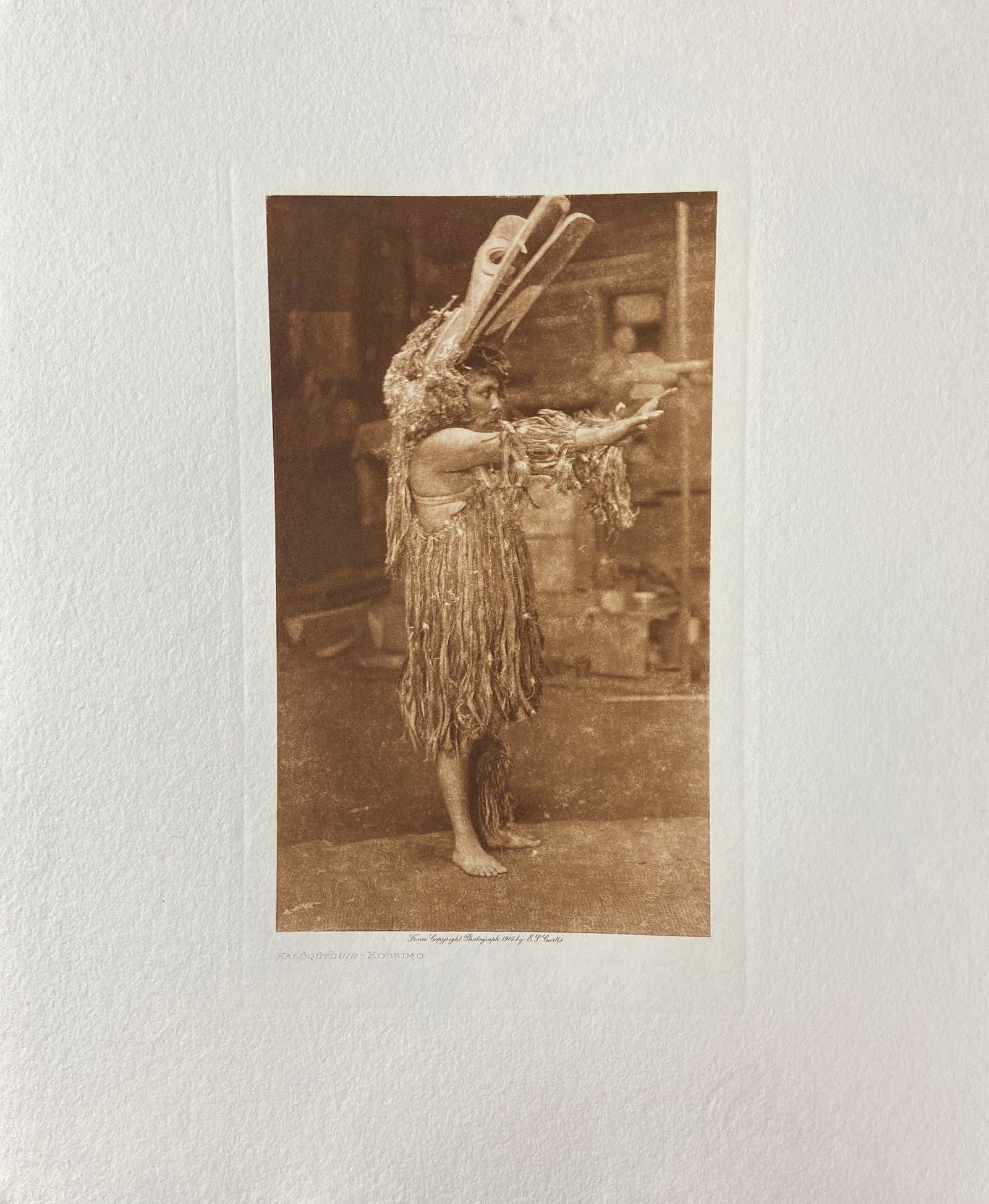 Kaloqutsuis - Koskimo