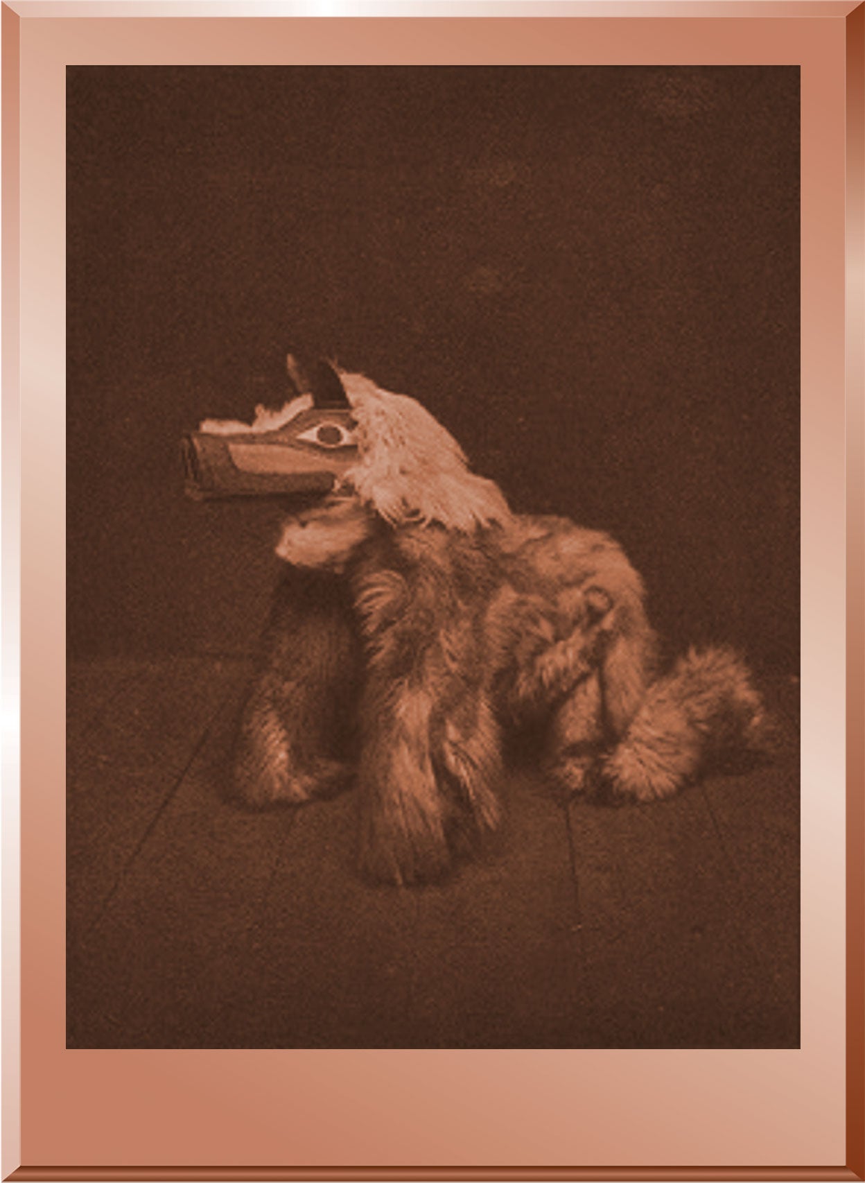 Waswaslikyi - Qagyuhl