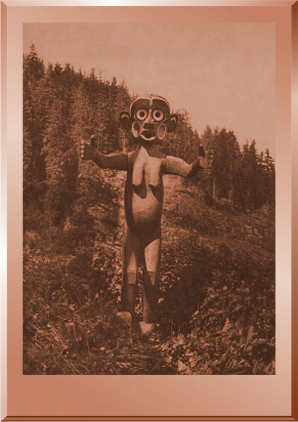 A Tsunukwa at Kwaustums - The Curtis Gallery