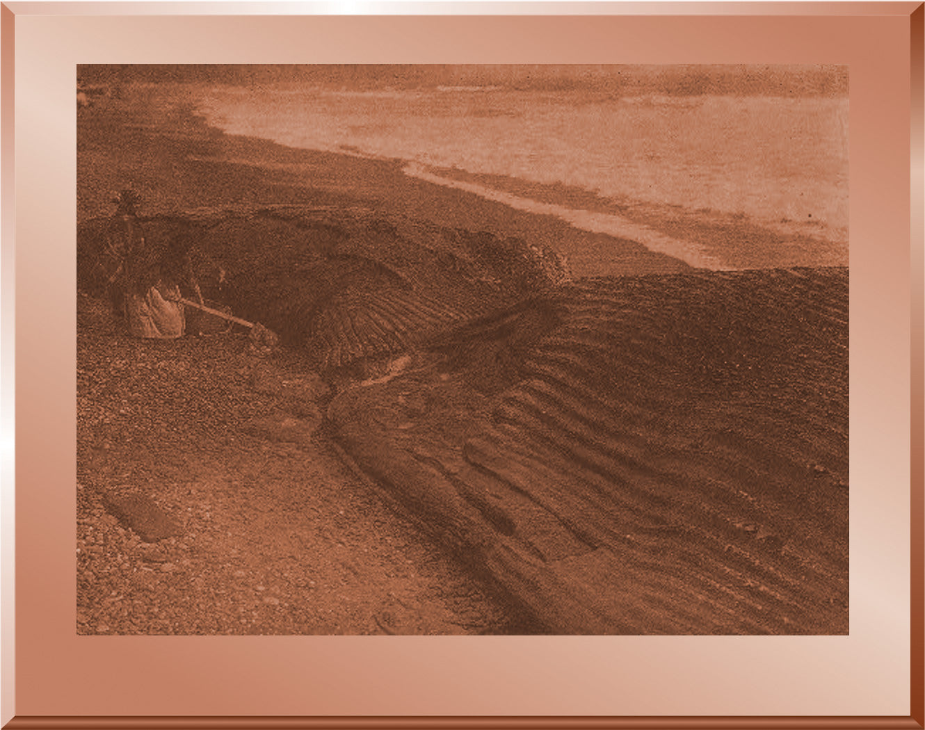 A Partially Cut Up Whale