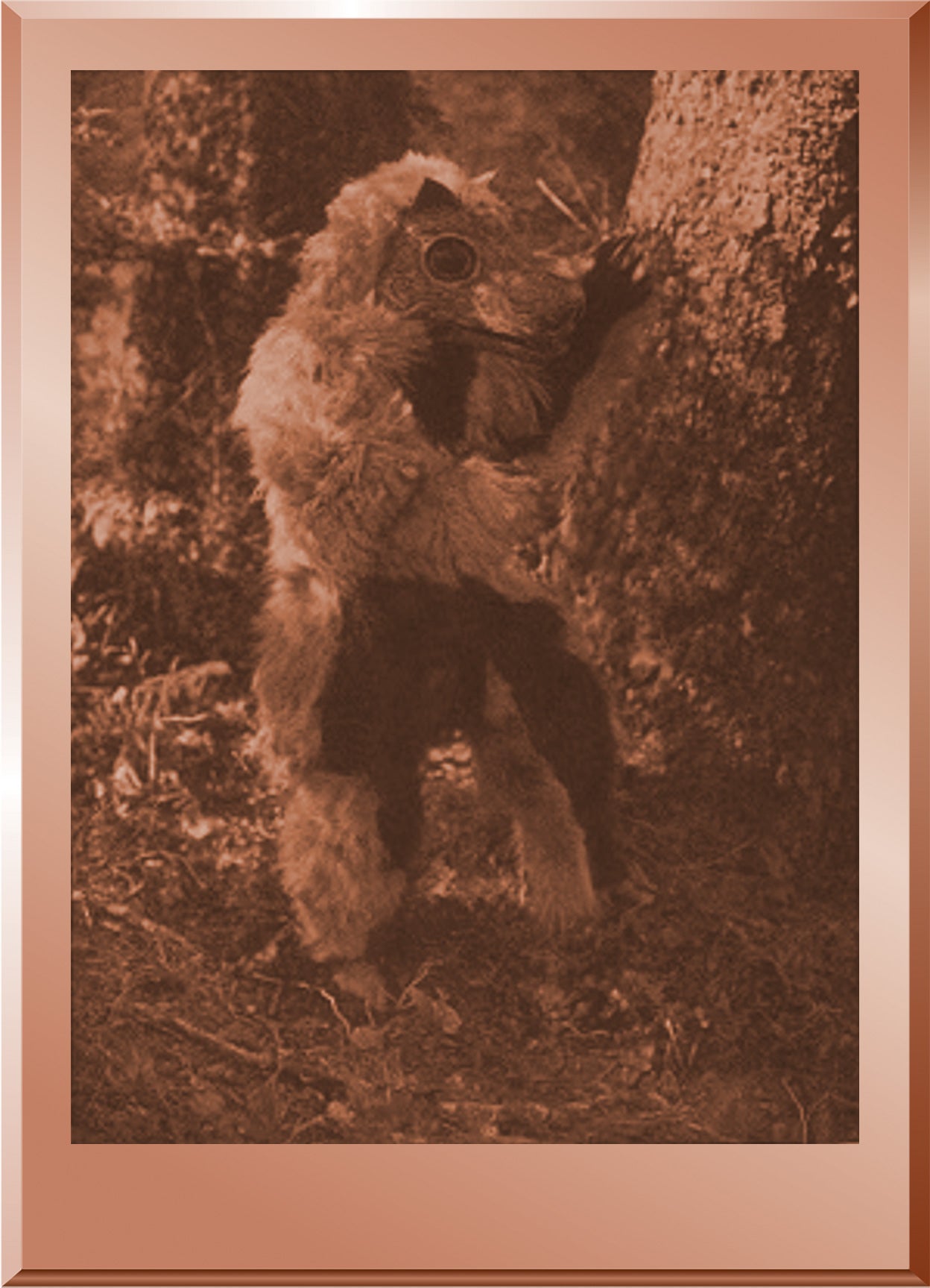 The Bear Costume - Nootka