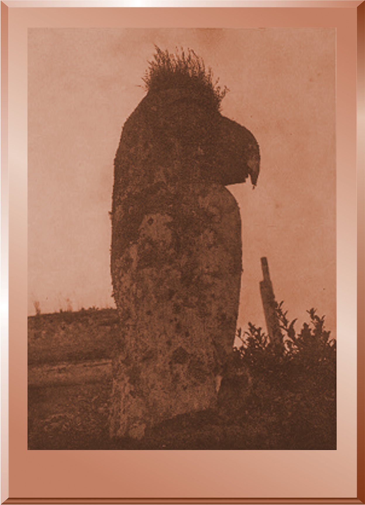 A Raven Totem at Yan