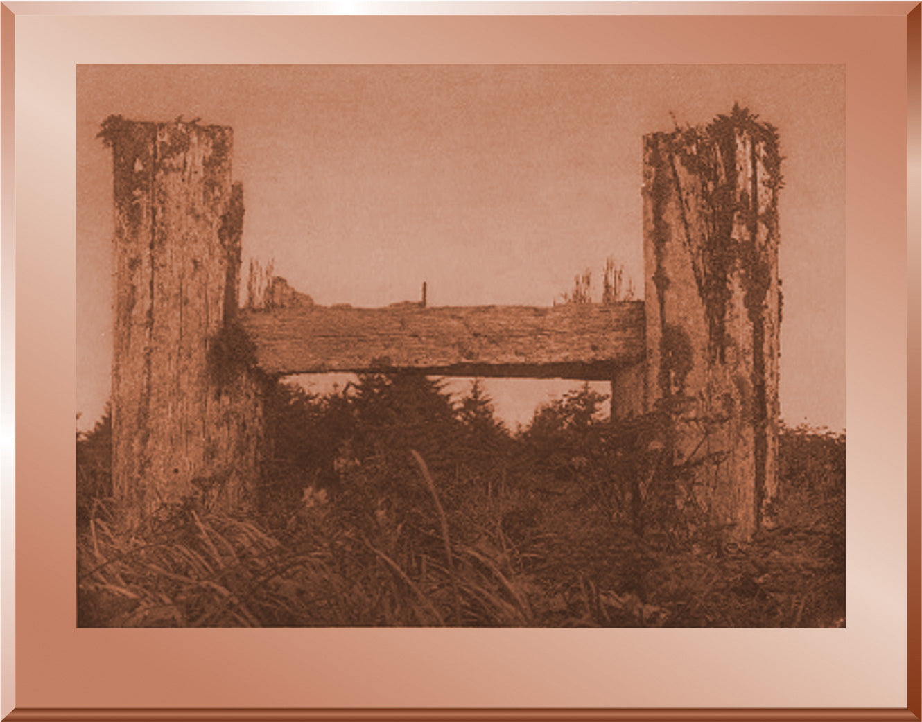 A Decaying Houseframe - Haida