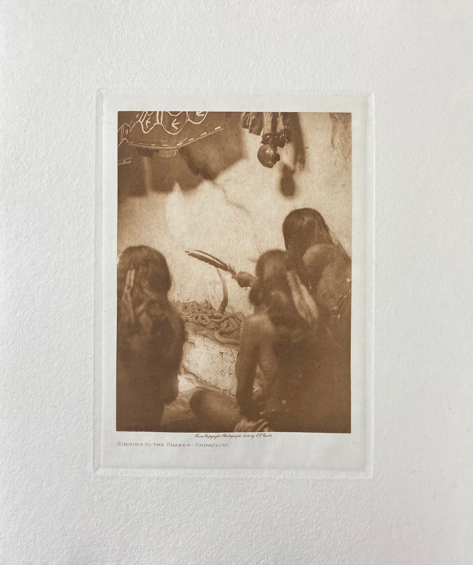 Singing to the Snakes - Shipaulovi