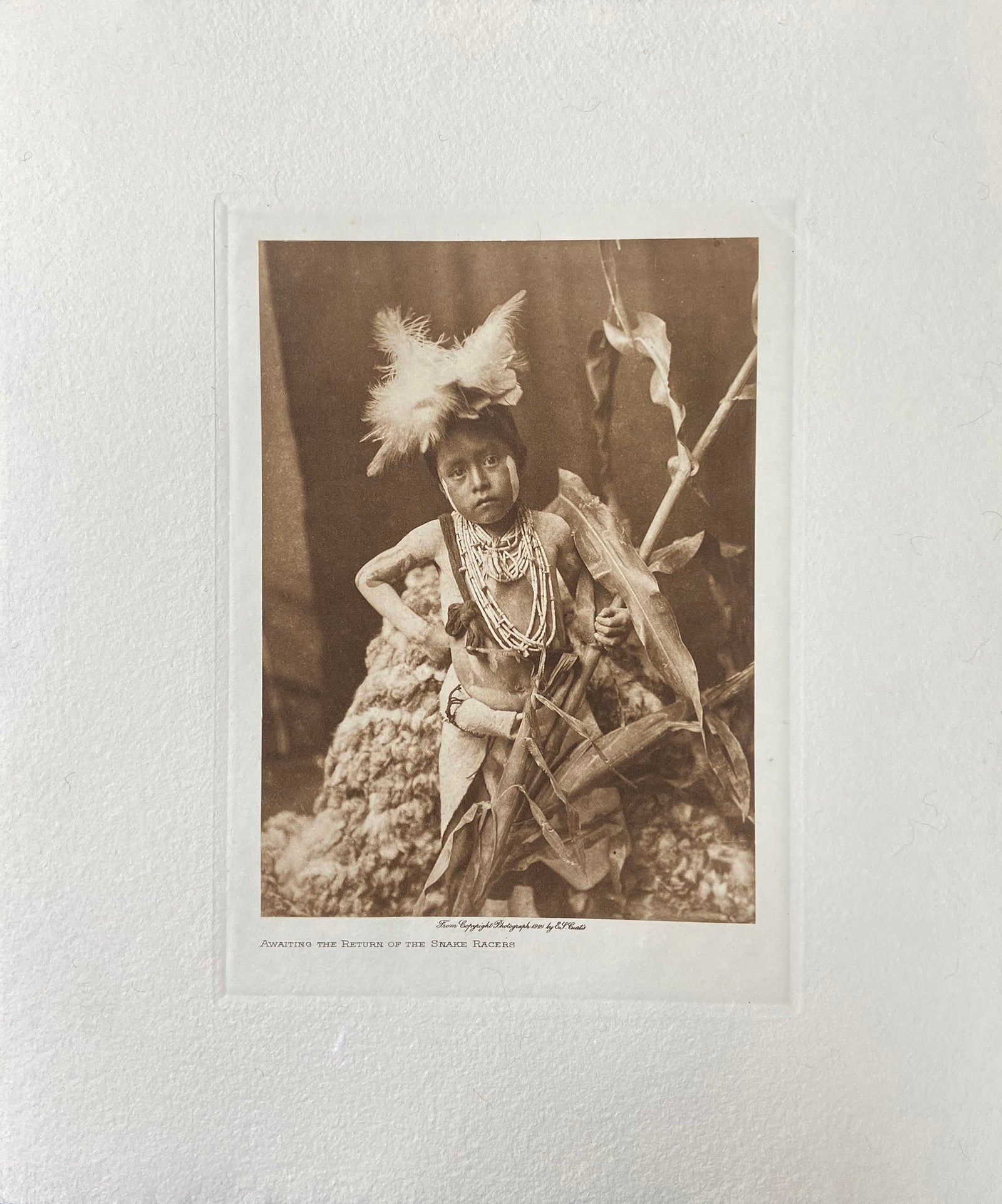 Awaiting the Return of the Snake Racers