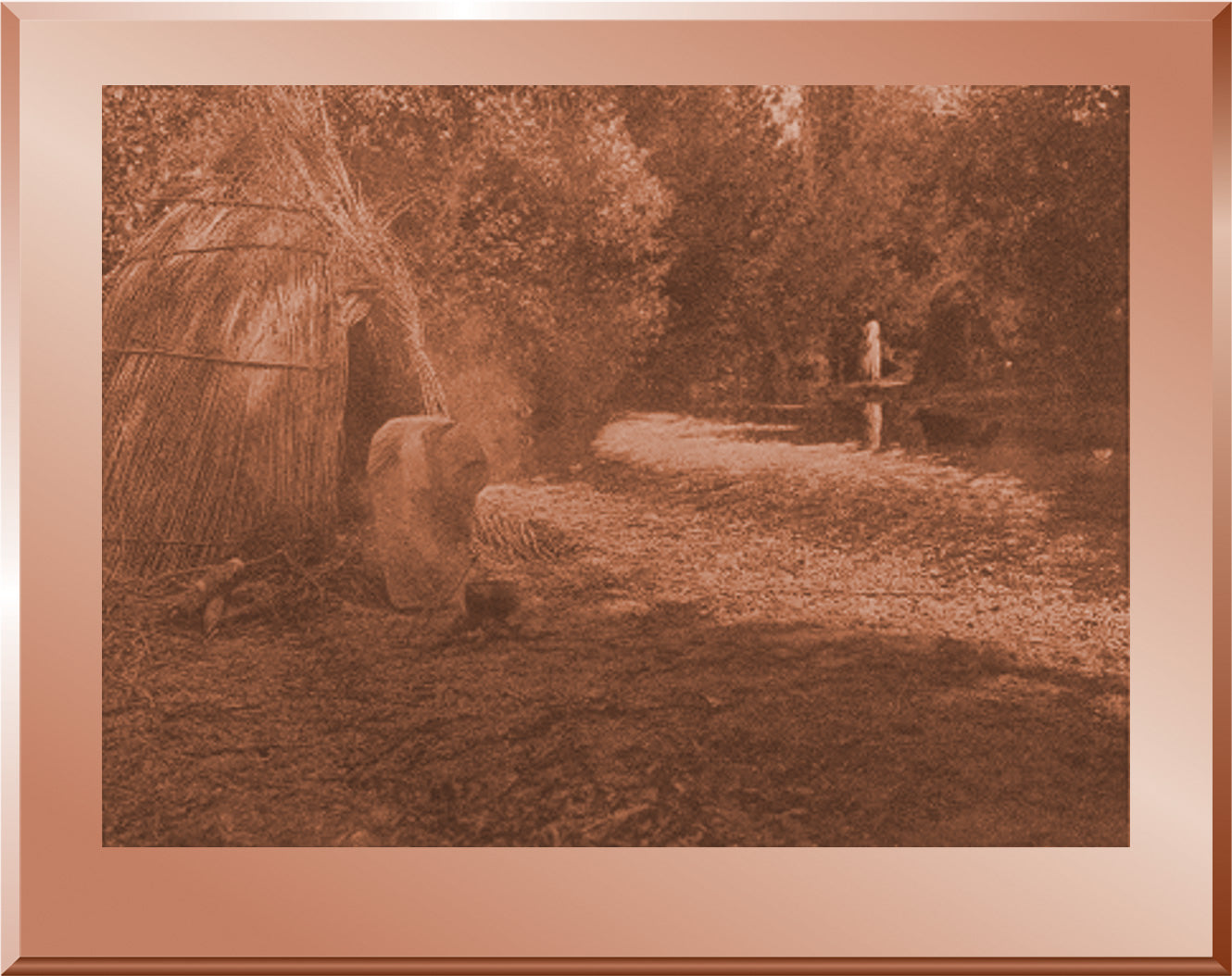 A Summer Camp - Lake Pomo