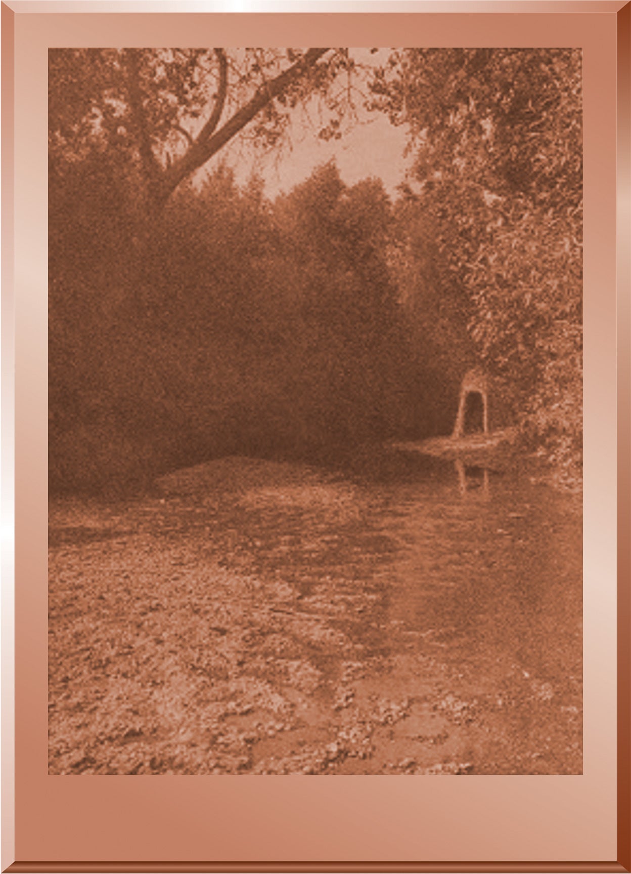 Summer Shelter - Lake Pomo