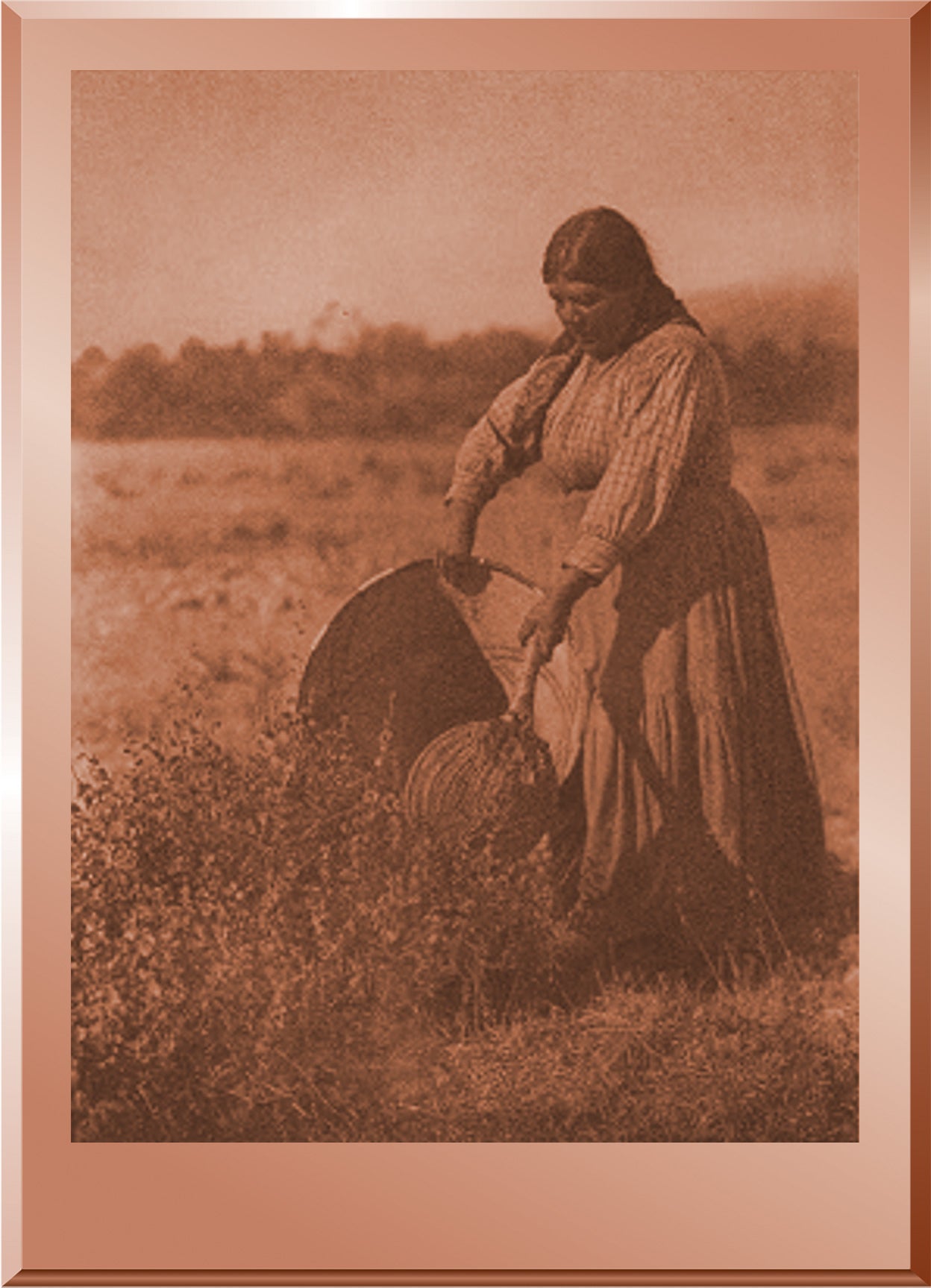 Gathering Seeds - Coast Pomo