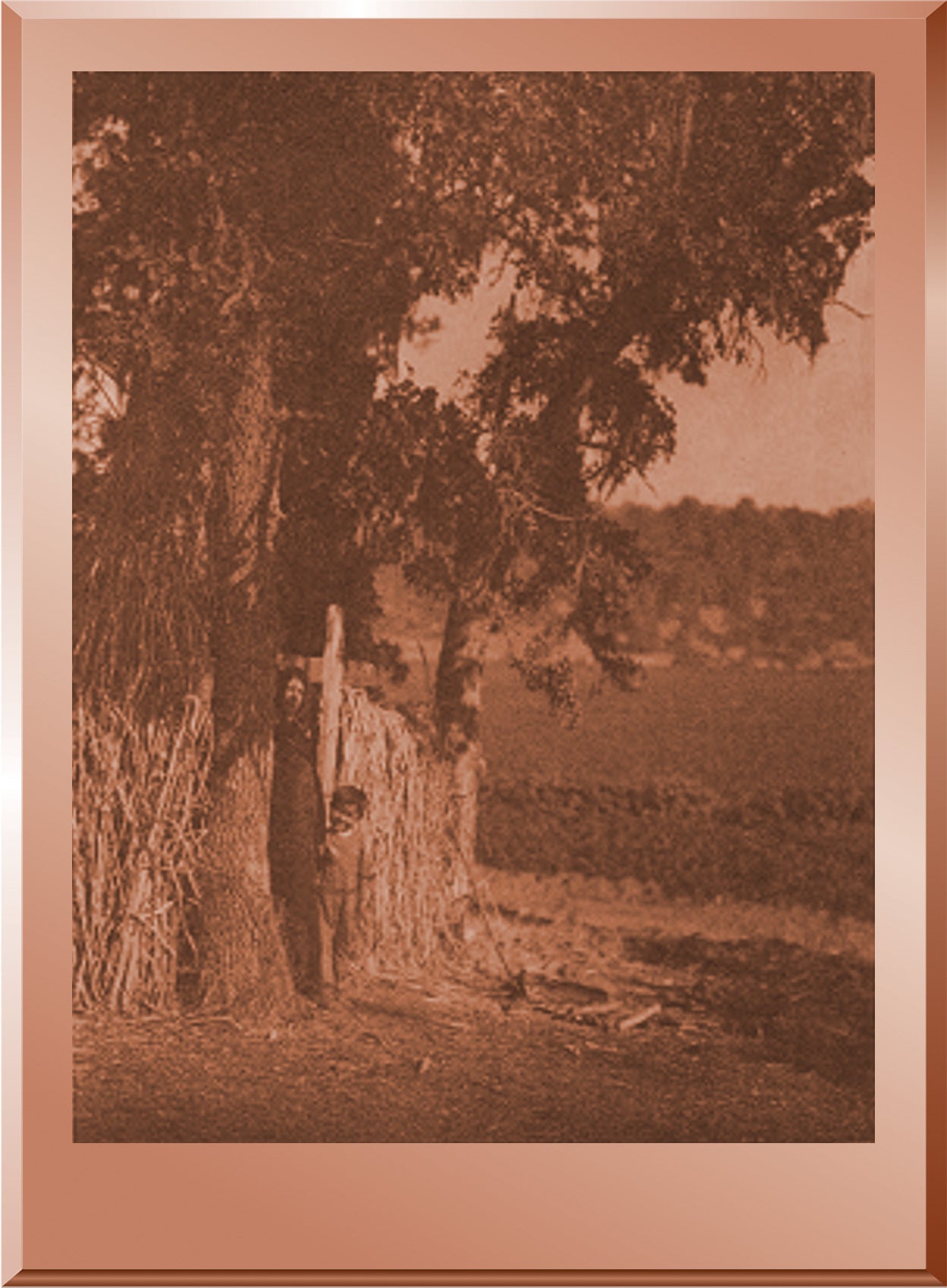Camp Under the Oaks - Lake Pomo