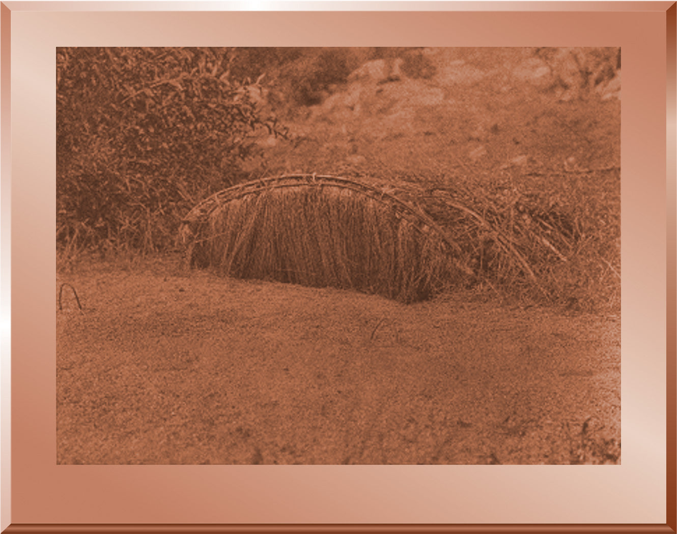 The Pigeon Blind - Yokuts