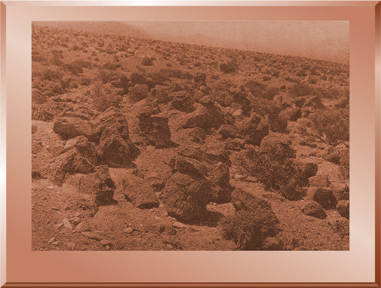 The Ancient Shore of Walker Lake