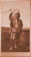 Arikara Chief