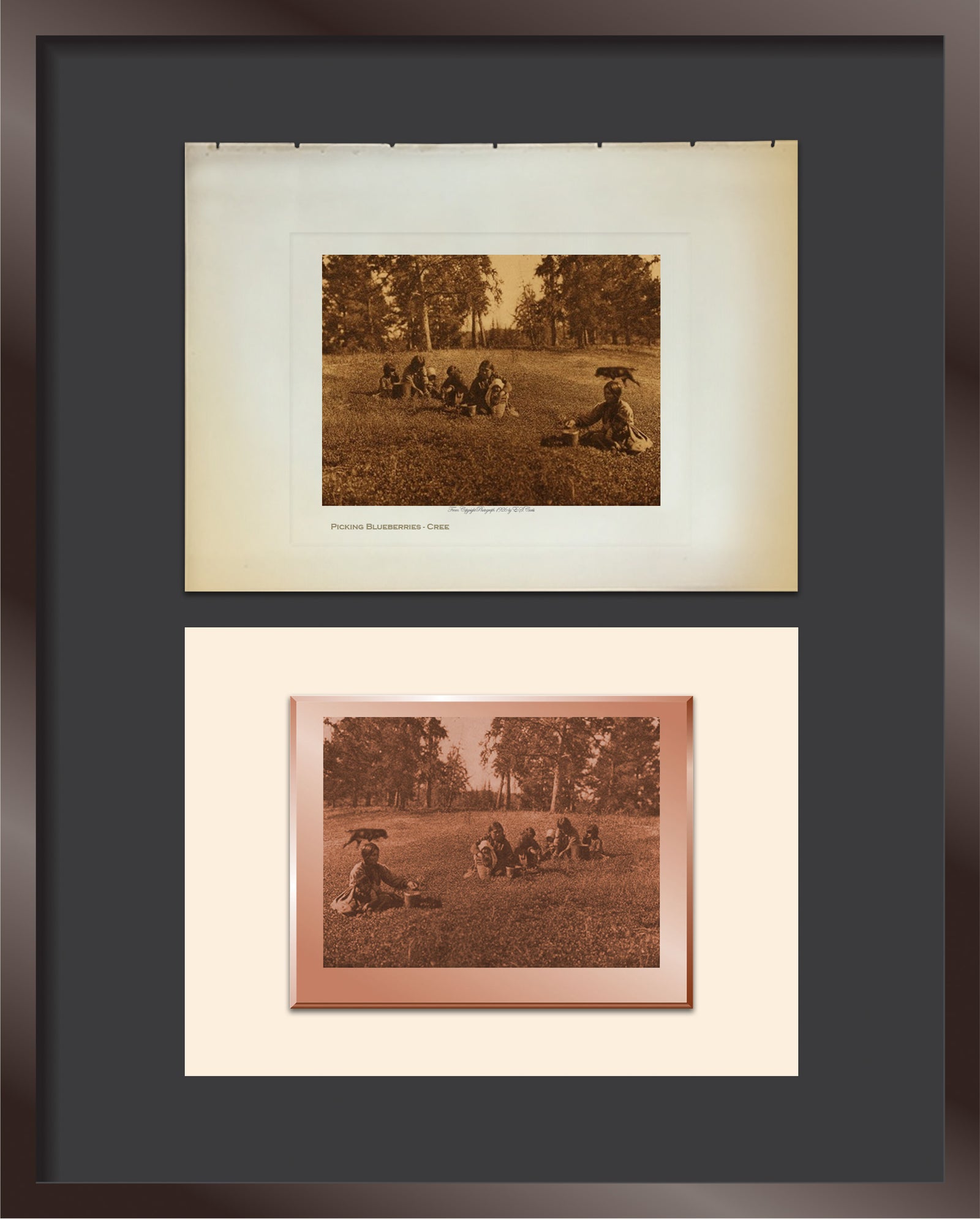 Picking Blueberries - Cree