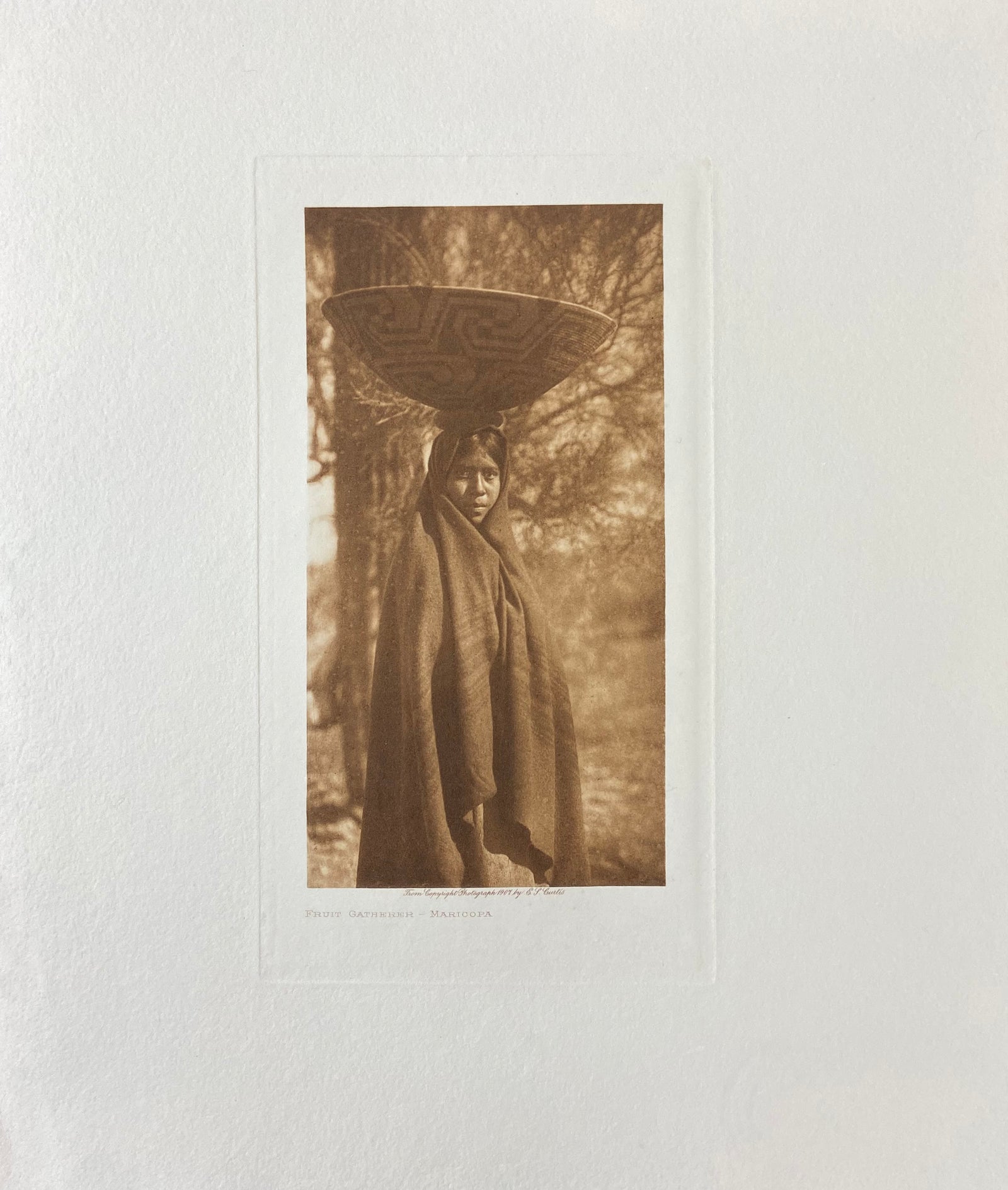 Fruit Gatherer - Maricopa