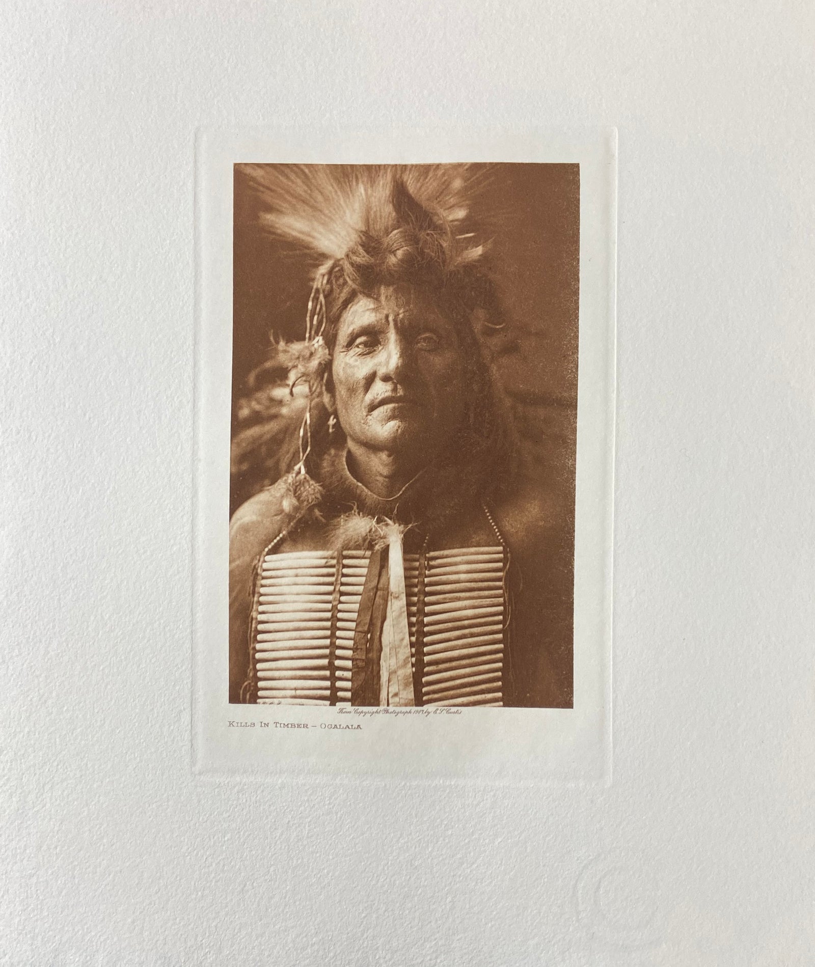 Kills in Timber - Ogalala