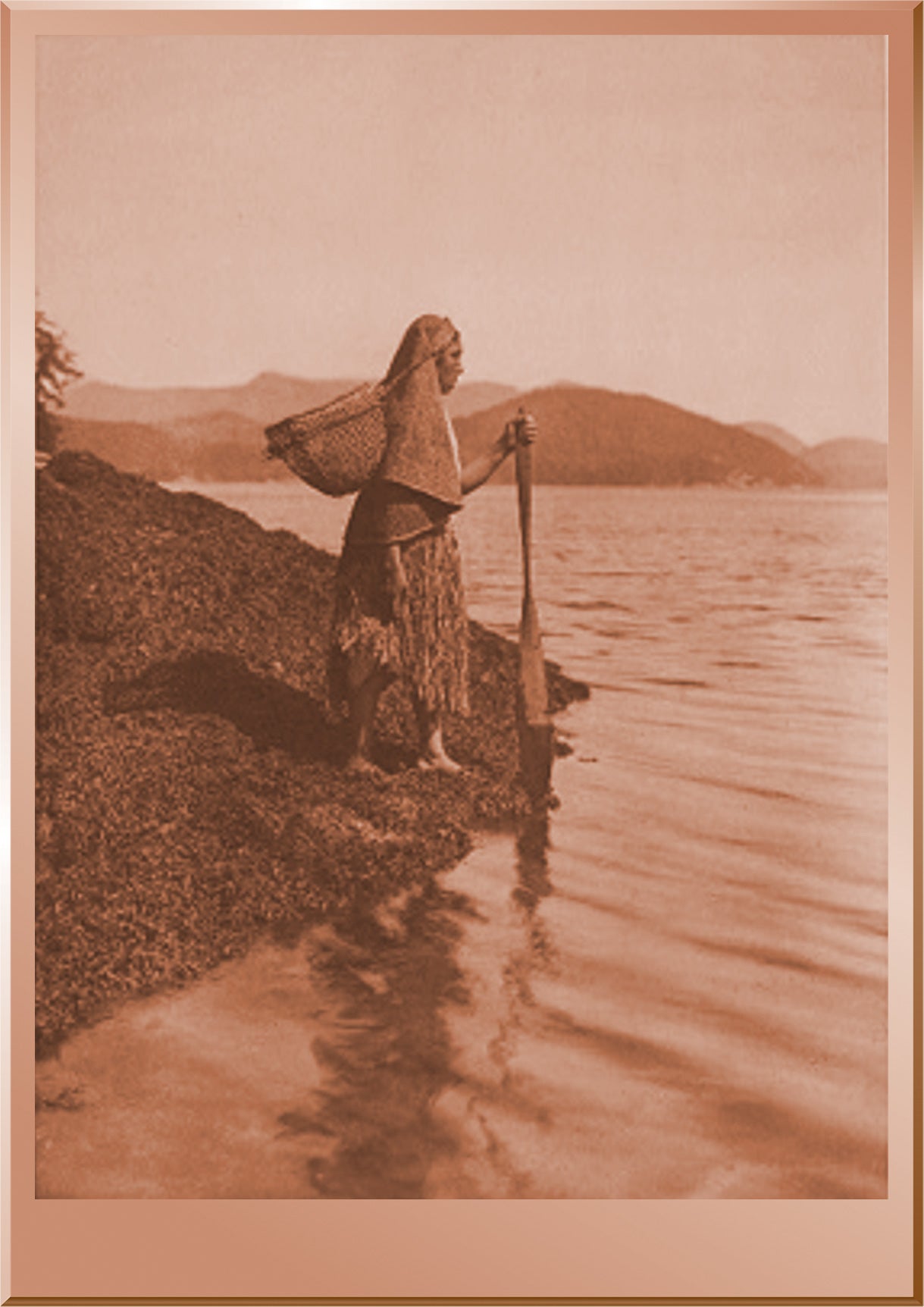 The Seaweed Gatherer