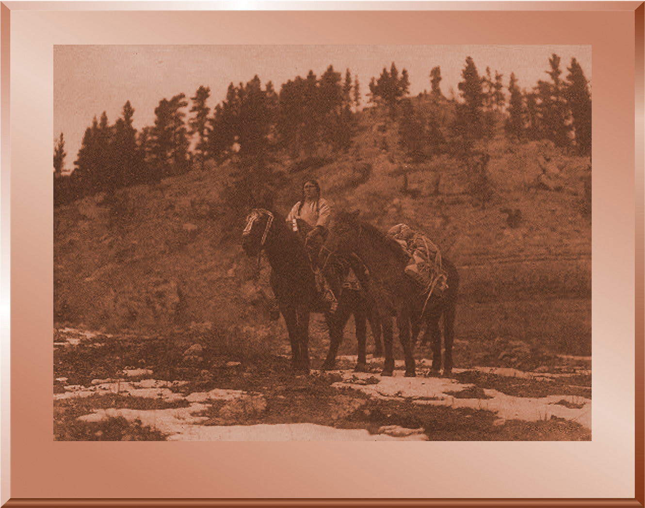 Pack Horse - Apsaroke