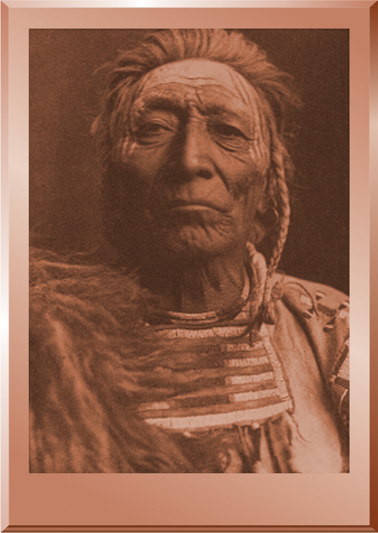 Bull Tongue - Apsaroke