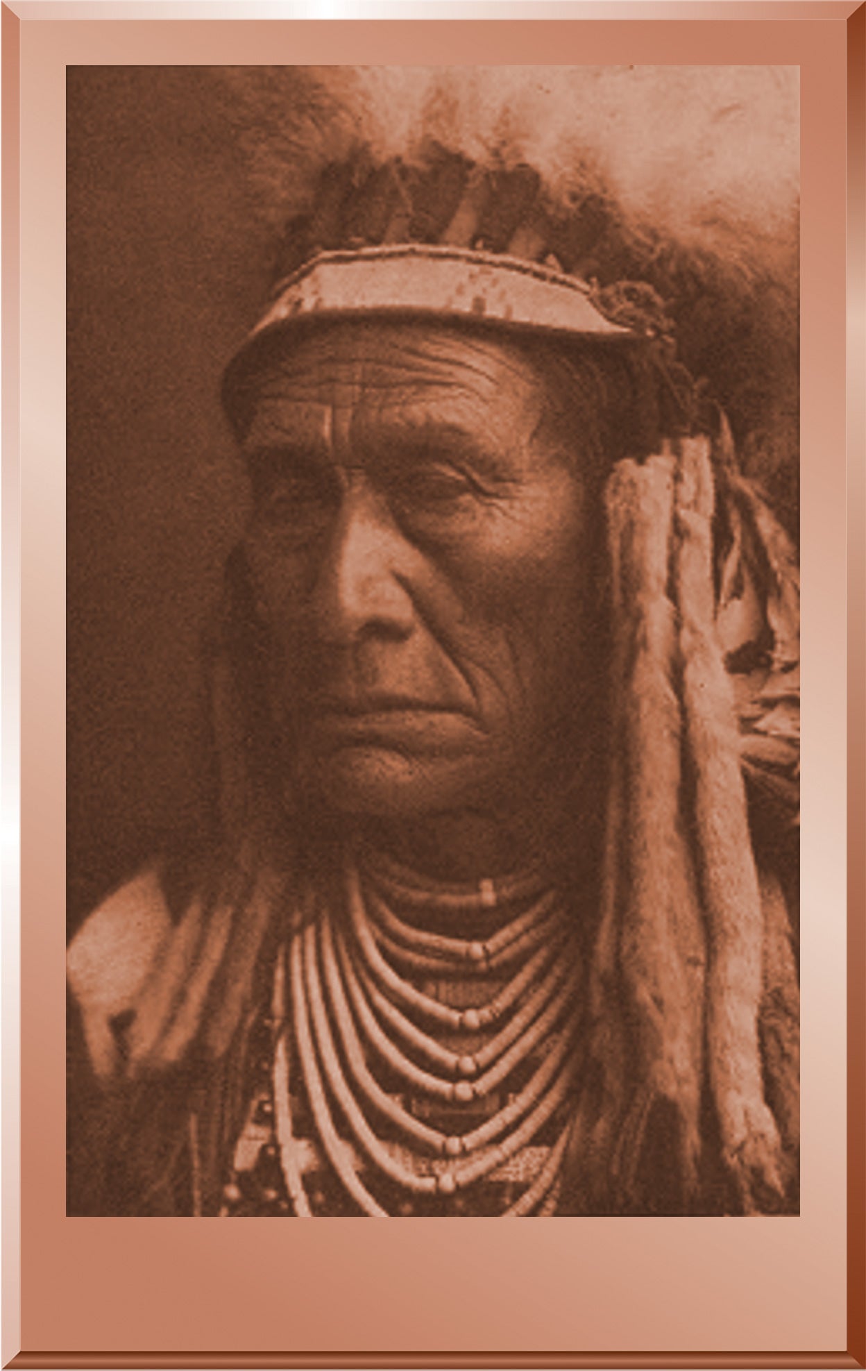 Skins Wolf - Apsaroke