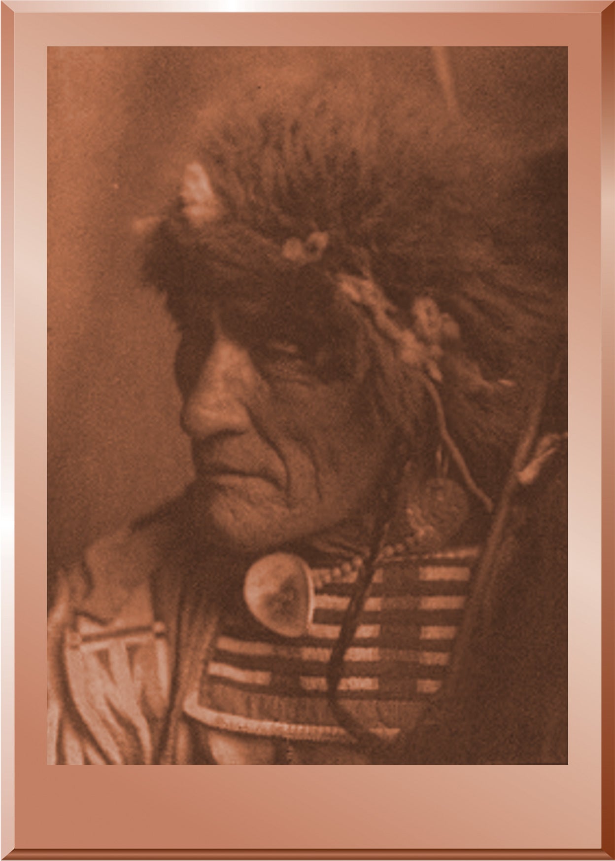 Young Hairy Wolf - Apsaroke