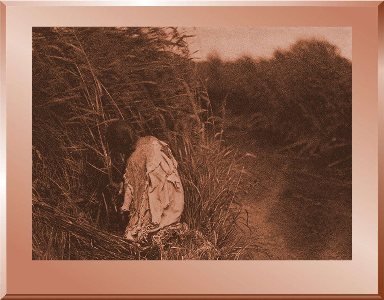 Cutting Rushes - Mandan