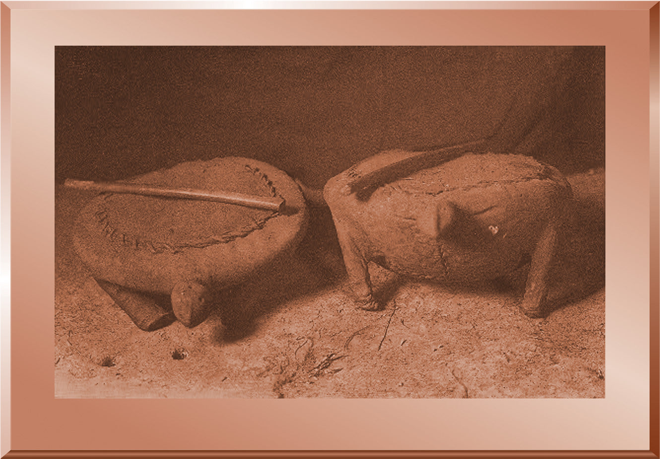 The Sacred Turtles - Mandan