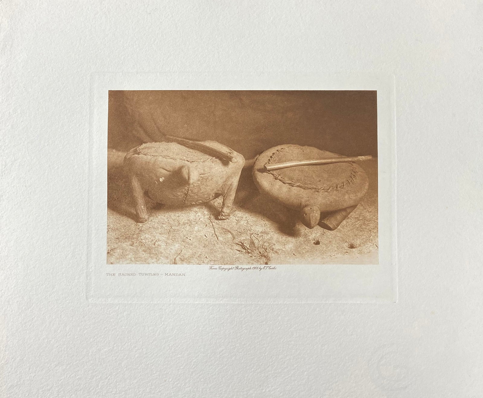 The Sacred Turtles - Mandan