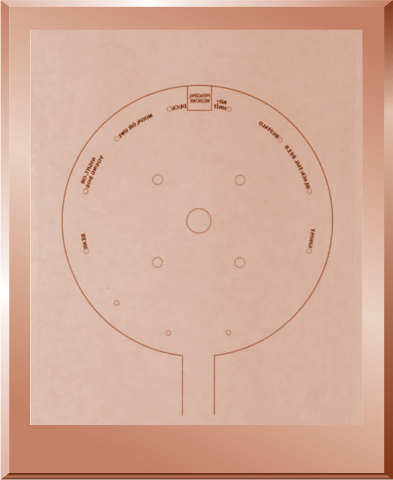 Ground Plan of Arikara Medicine Lodge