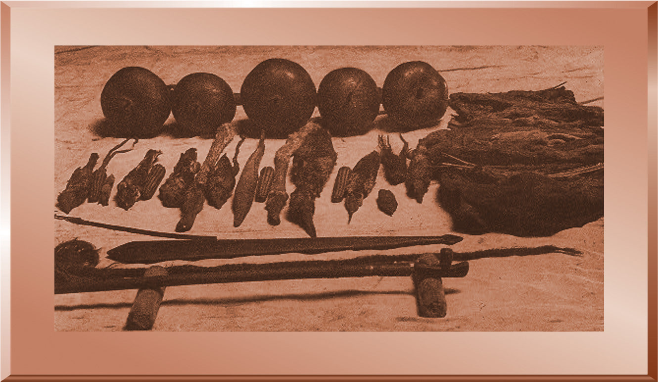 Contents of Arikara Tribal Medicine Bundle