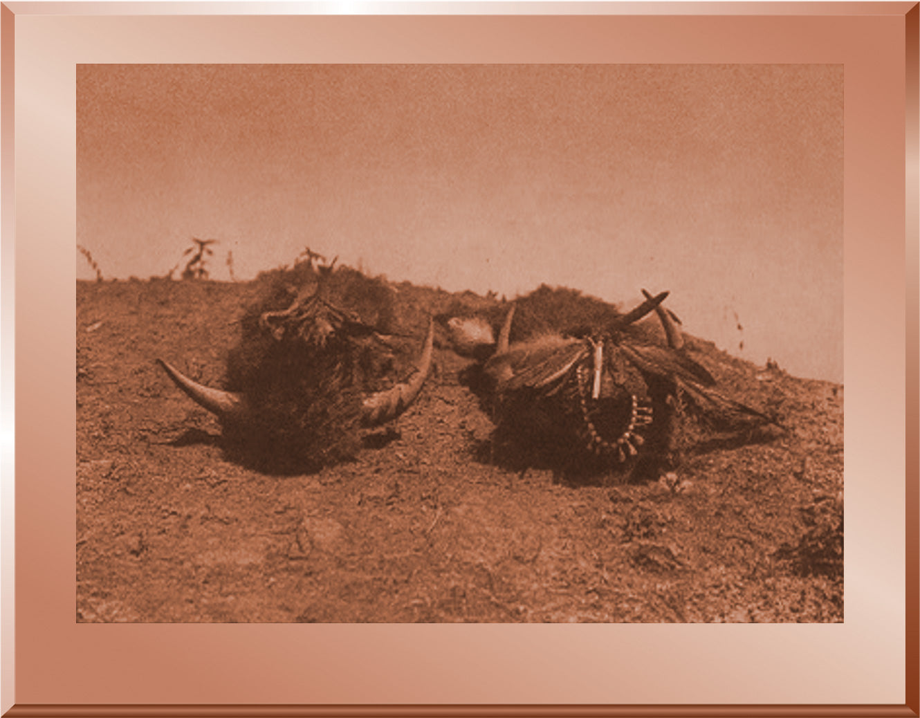 The Buffalo-Medicine - Arikara