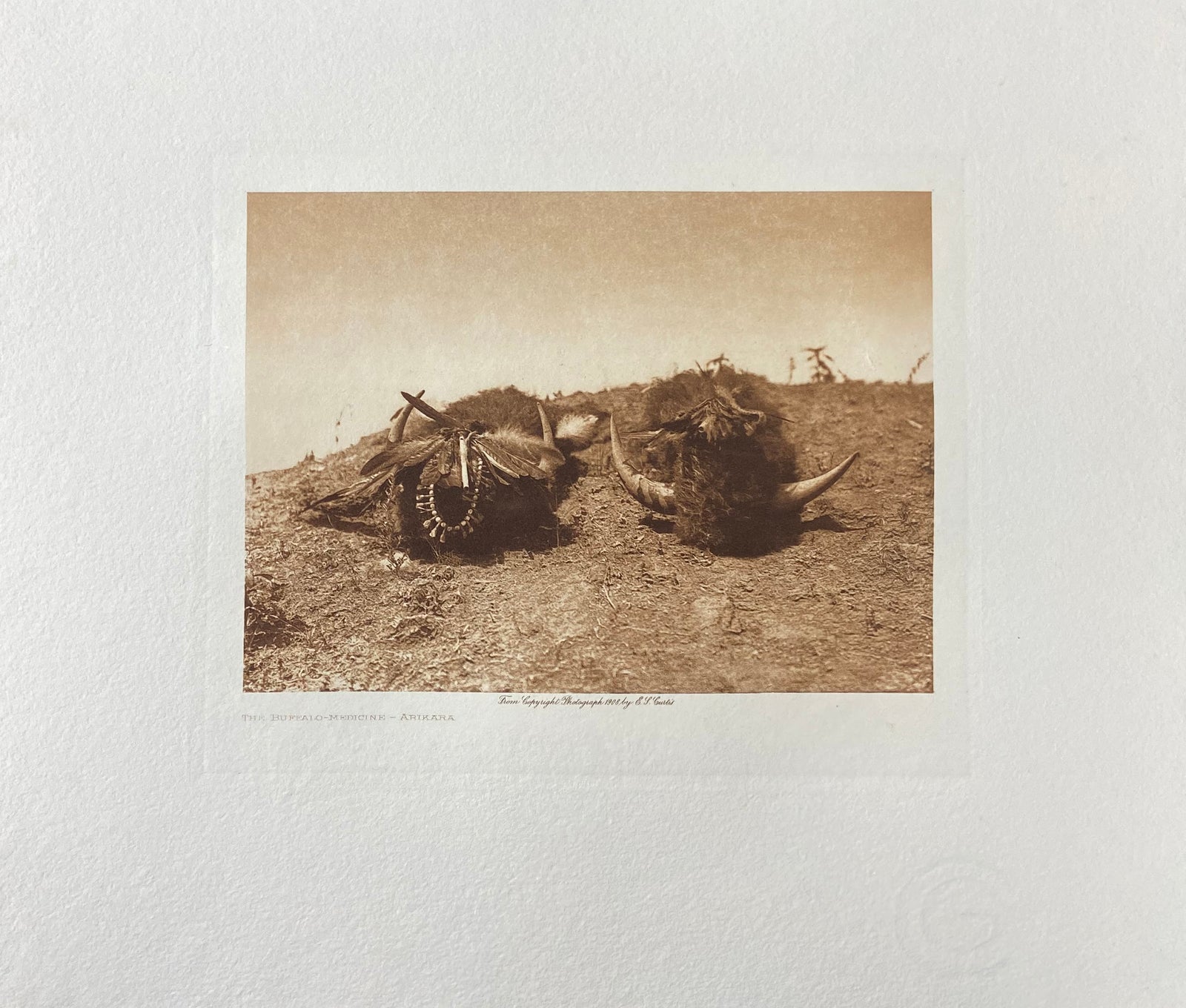 The Buffalo Medicine - Arikara