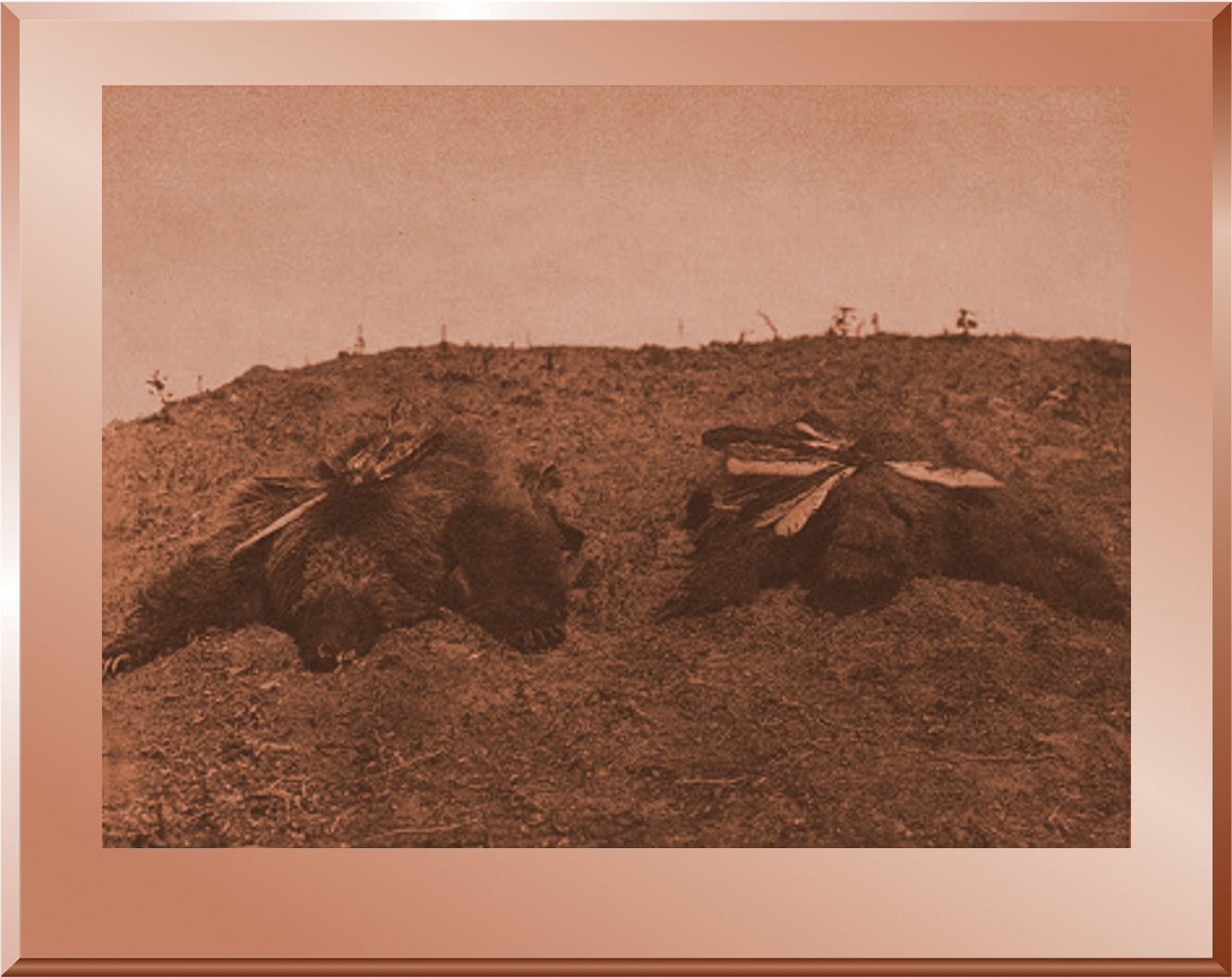 The Bear Medicine - Arikara