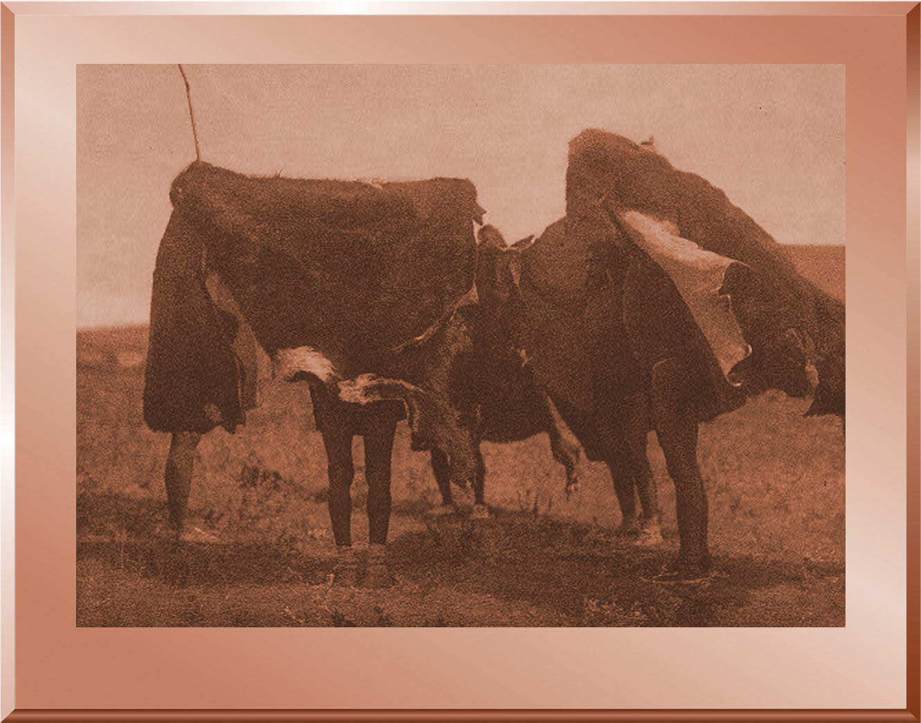 Atsina Fly Dance - "Robes outstretched"