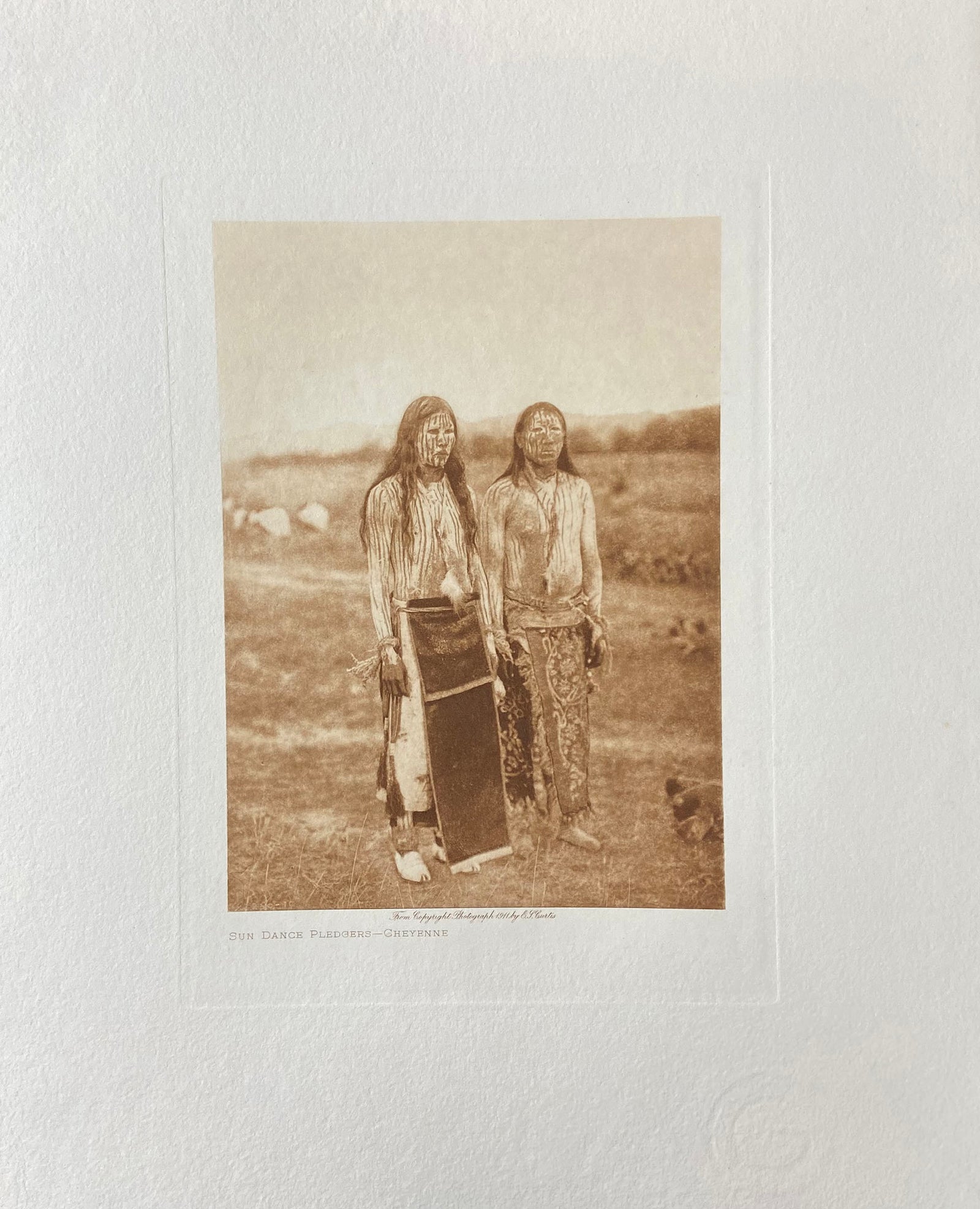 Sun Dance Pledgers - Cheyenne