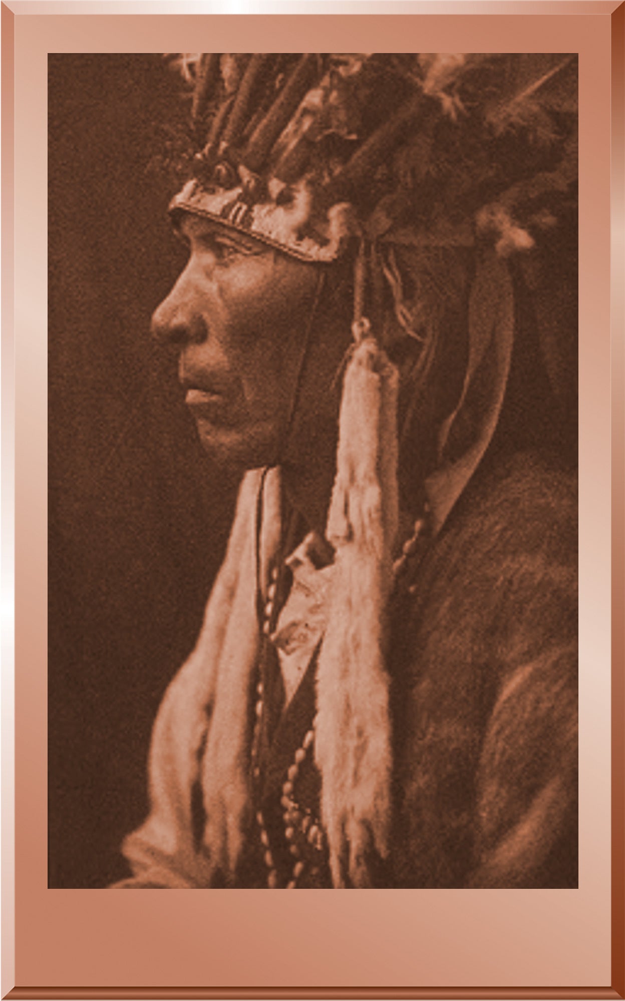 Nez Perce Profile