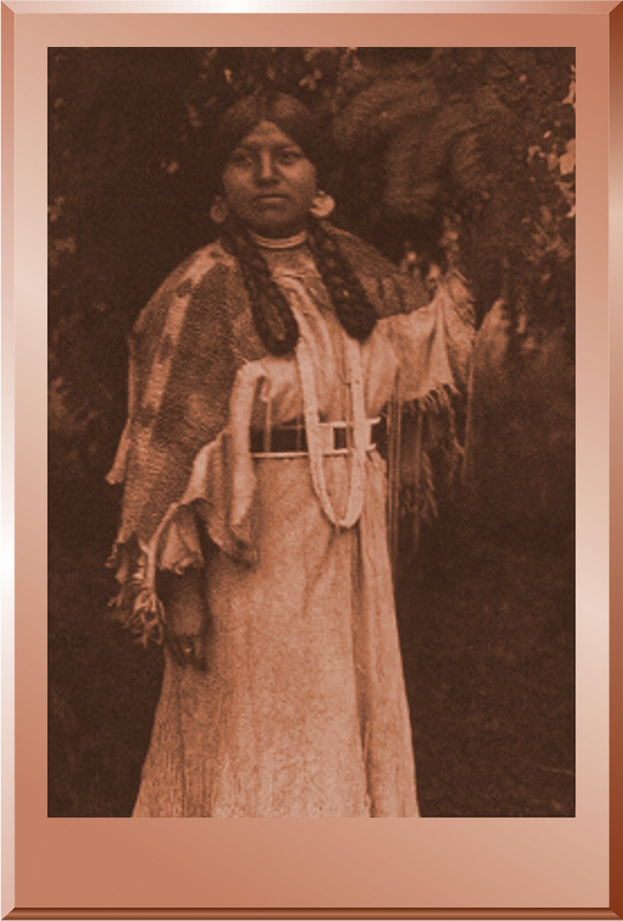 In the Forest - Cayuse